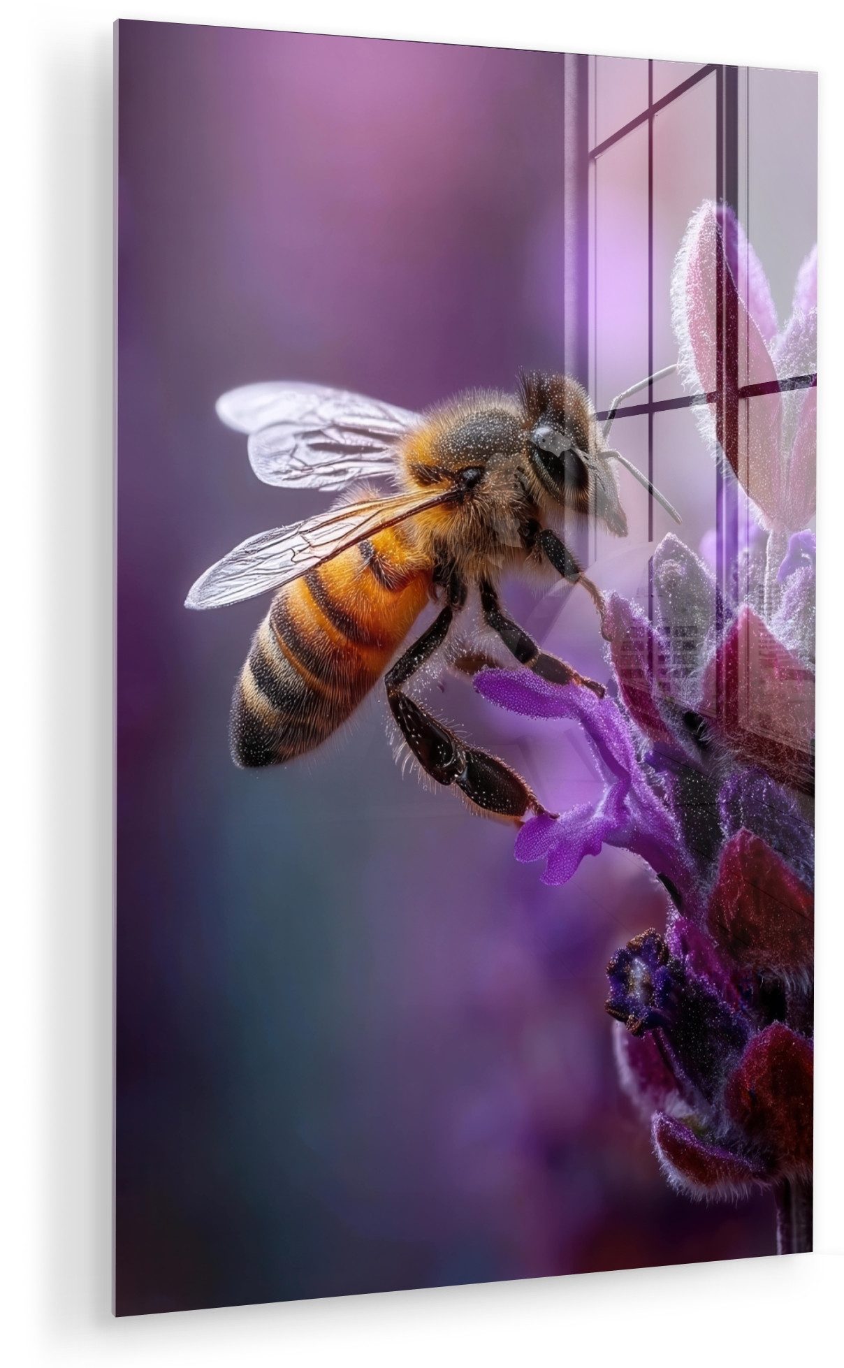 MuchoWow Acrylglasbild Honigbiene - Lila Blumen - Details, Inkl. Aufhängung, Dekorative Bild für Küche & Wohnzimmer auf Glas, 20x30 cm