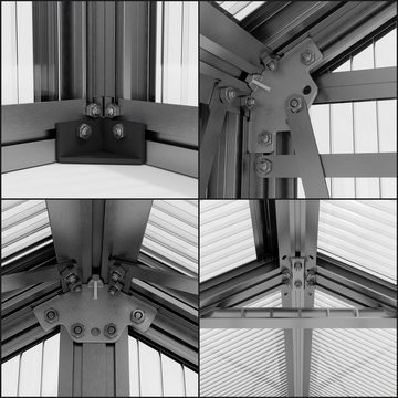 GFP Gewächshaus Topas 2, 8 mm Wandstärke, stabiler Aluminiumrahmen, Polycarbonatplatten