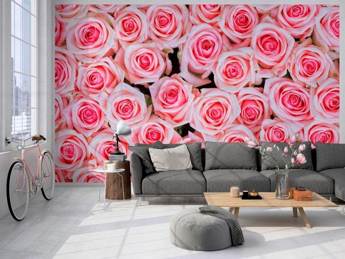 (1 St), Wand, glatt, Rosen, living rosa walls Vlies, Fototapete Schräge