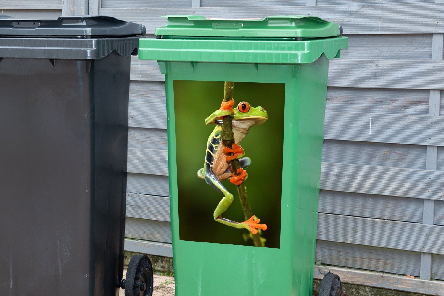 Abfalbehälter Mülleimer-aufkleber, (1 Rotaugenlaubfrosch Dschungel St), Container, MuchoWow Mülltonne, Wandsticker Sticker, im