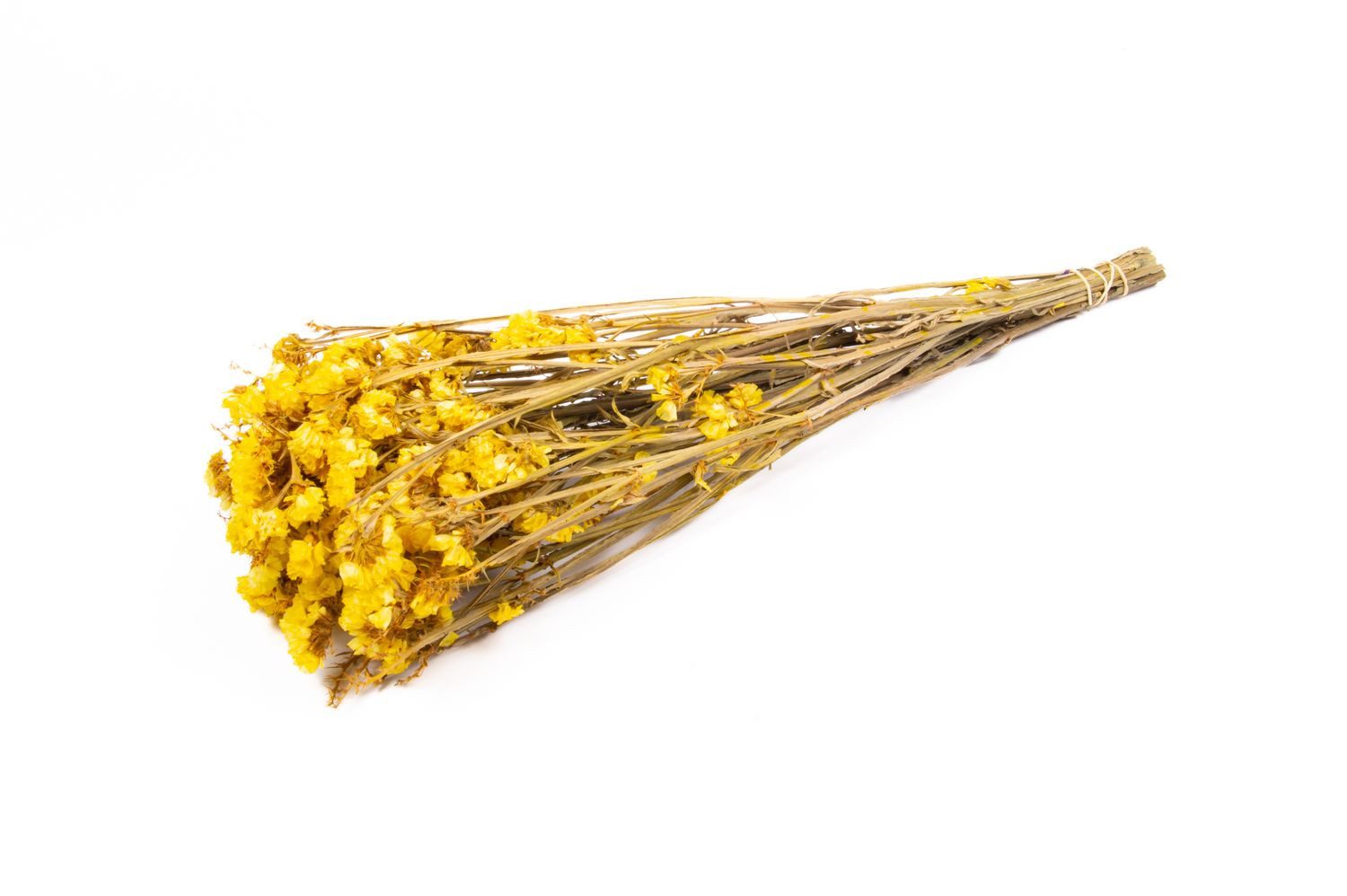 Trockenblume Strandflieder getrocknet BRINJA, Strauß, gelb, 50-65cm, Ø18cm, INNA-Glas, Höhe 65.0 cm