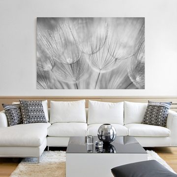 Bilderdepot24 Leinwandbild Kunstdruck Modern Natur Pusteblumen schwarz weiss Leinwand Groß XXL, Bild auf Leinwand; Leinwanddruck in vielen Größen