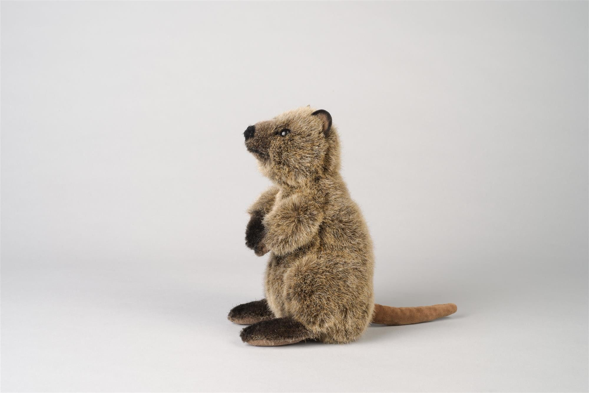 Kösen Kuscheltier Kösen Quokka klein stehend 20 cm
