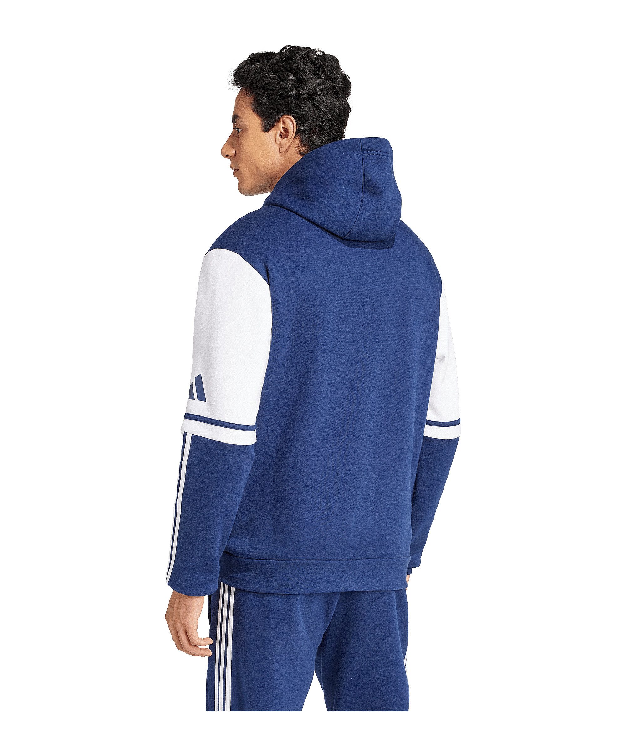 adidas Performance Sweatshirt adidas Performance Squadra 25 Hoody Herren Ba günstig online kaufen