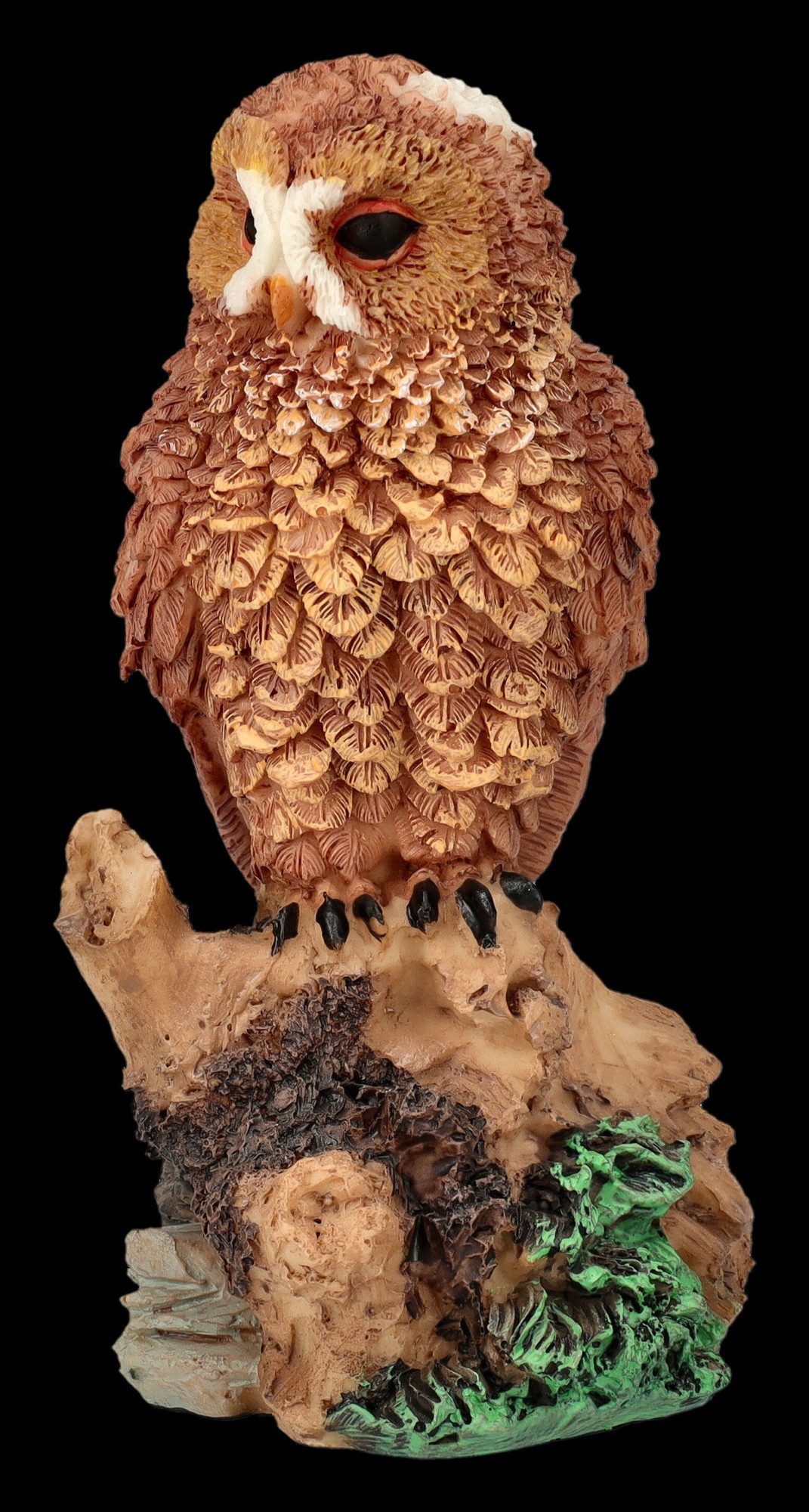 Figuren Shop GmbH Tierfigur Eulen Figur - Brilleneule - Tierfigur Dekofigur günstig online kaufen