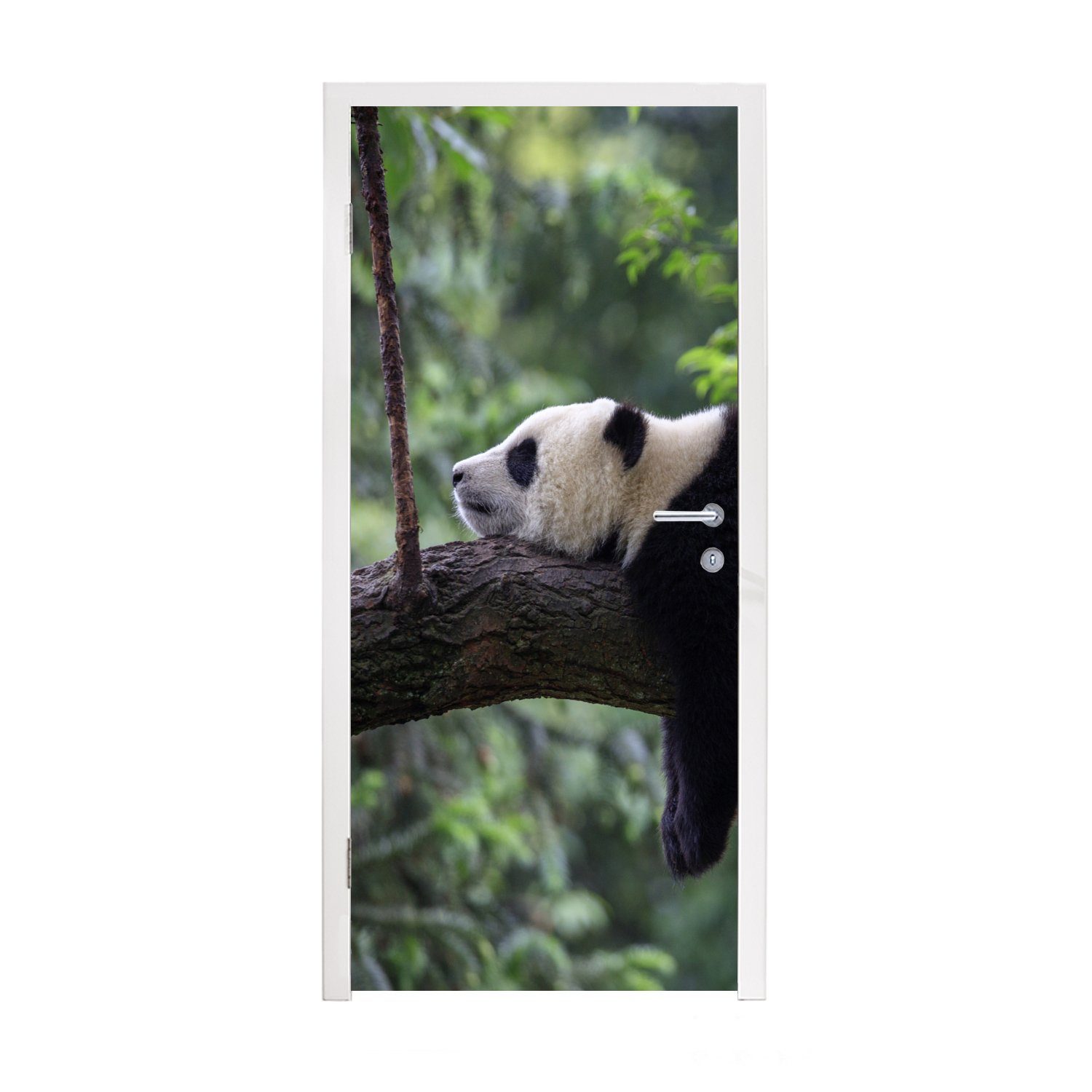 MuchoWow Türtapete Panda - Baum - Tiere - Natur, Matt, bedruckt, (1 St), Fototapete für Tür, Türaufkleber, 75x205 cm
