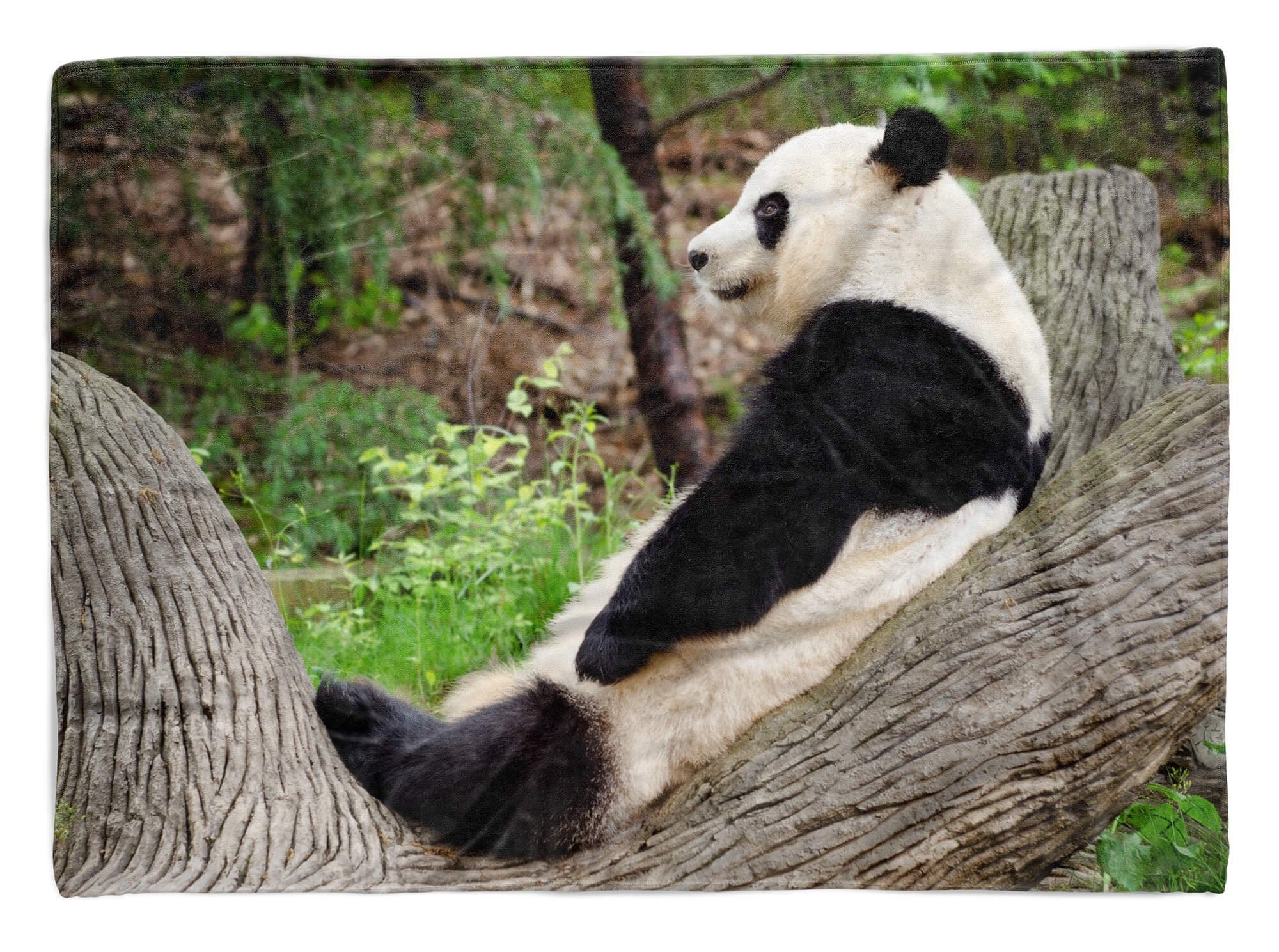 Art Panda Kuscheldecke (1-St), Handtuch Handtuch Baumwolle-Polyester-Mix Pandabär, Handtücher Strandhandtuch Sinus Tiermotiv mit Saunatuch