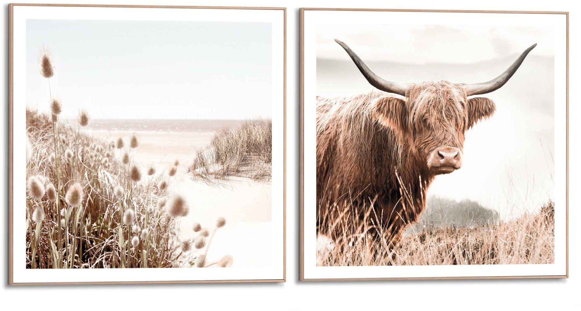 Reinders! Wandbild Freie Natur Highlander - Kuh - Heide - Strand - Ruhe, (2 St) | Kunstdrucke