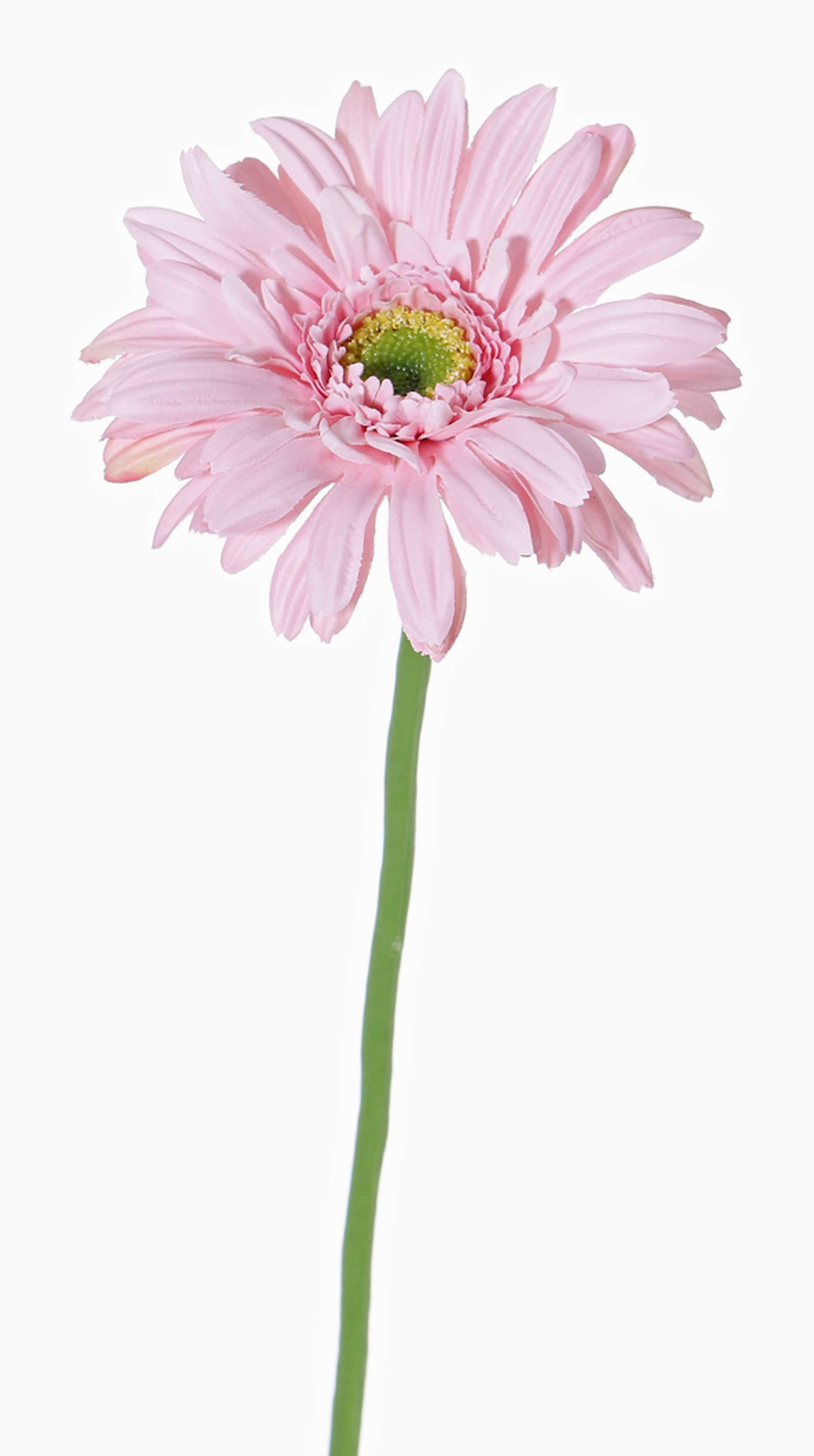 Kunstblume Künstliche Blume Gerbera Helli, rosa, 65cm, Ø 12cm Gerbera, artplants, Höhe 65.0 cm