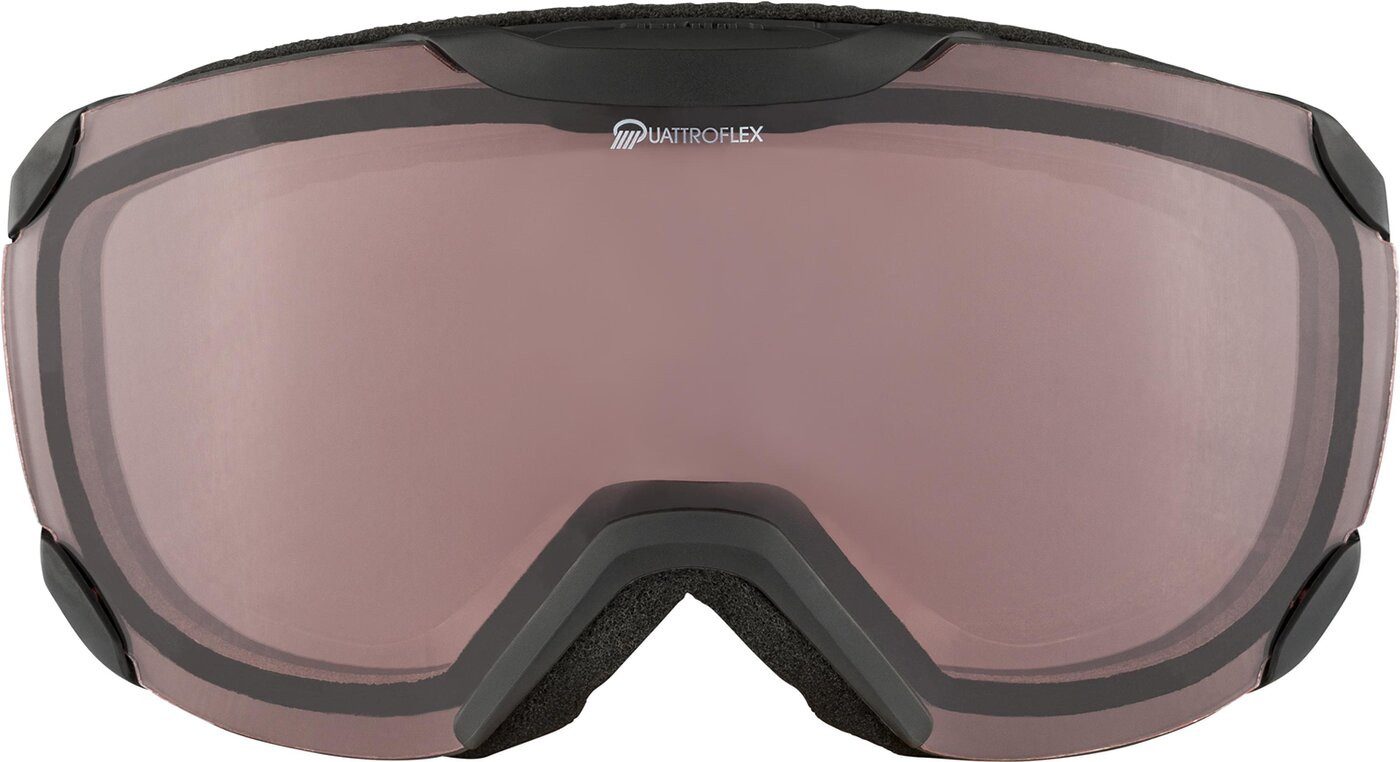 Skibrille ALPINA THAYNES Q