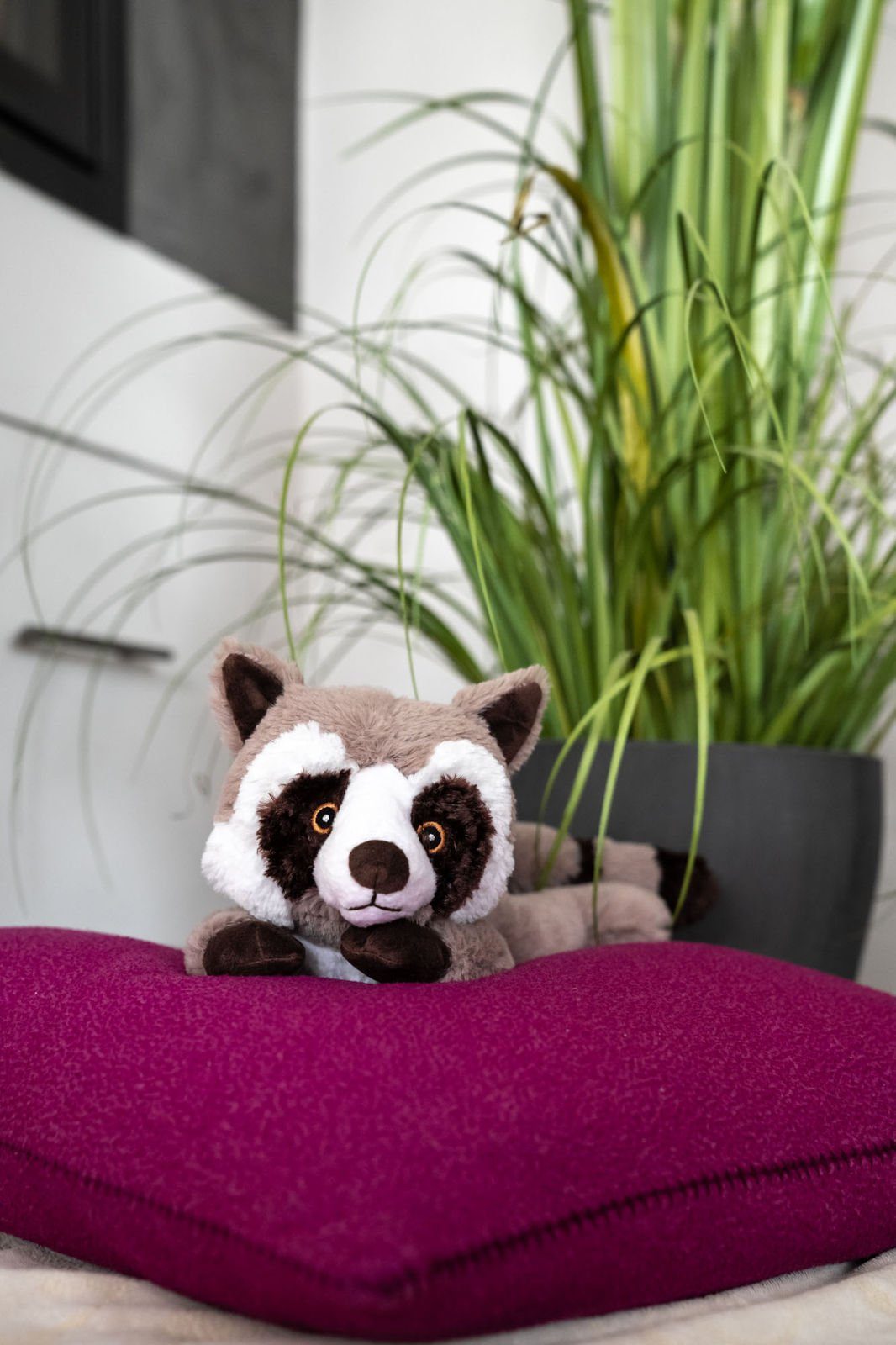 Habibi Plush Wärmekissen Körnerkissen Waschbär, Wärmestofftier zum Erwärmen in der Mikrowelle