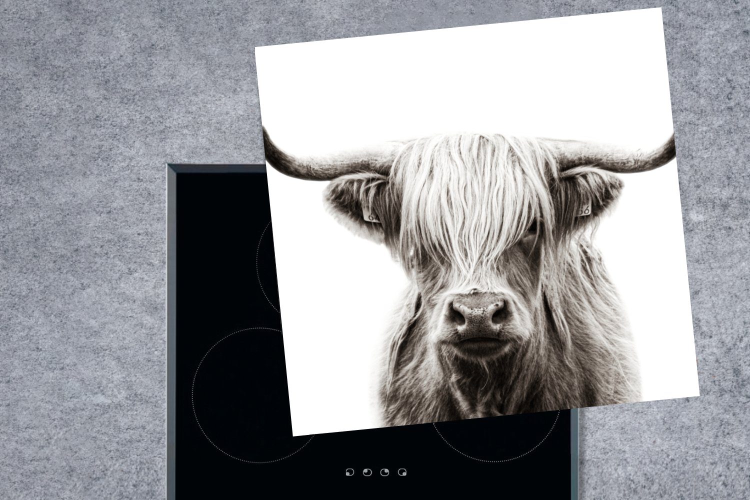MuchoWow Herdblende-/Abdeckplatte Schottischer Highlander Ceranfeldabdeckung, (1 tlg), Vinyl, 78x78 - - küche Weiß cm, Kuh, für Arbeitsplatte