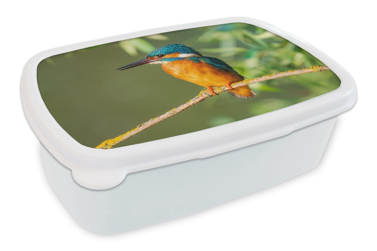 MuchoWow Lunchbox Vogel - Eisvogel - Zweig - Blätter - Moos, Kunststoff, (2-tlg), Brotbox für Kinder und Erwachsene, Brotdose, für Jungs und Mädchen weiß