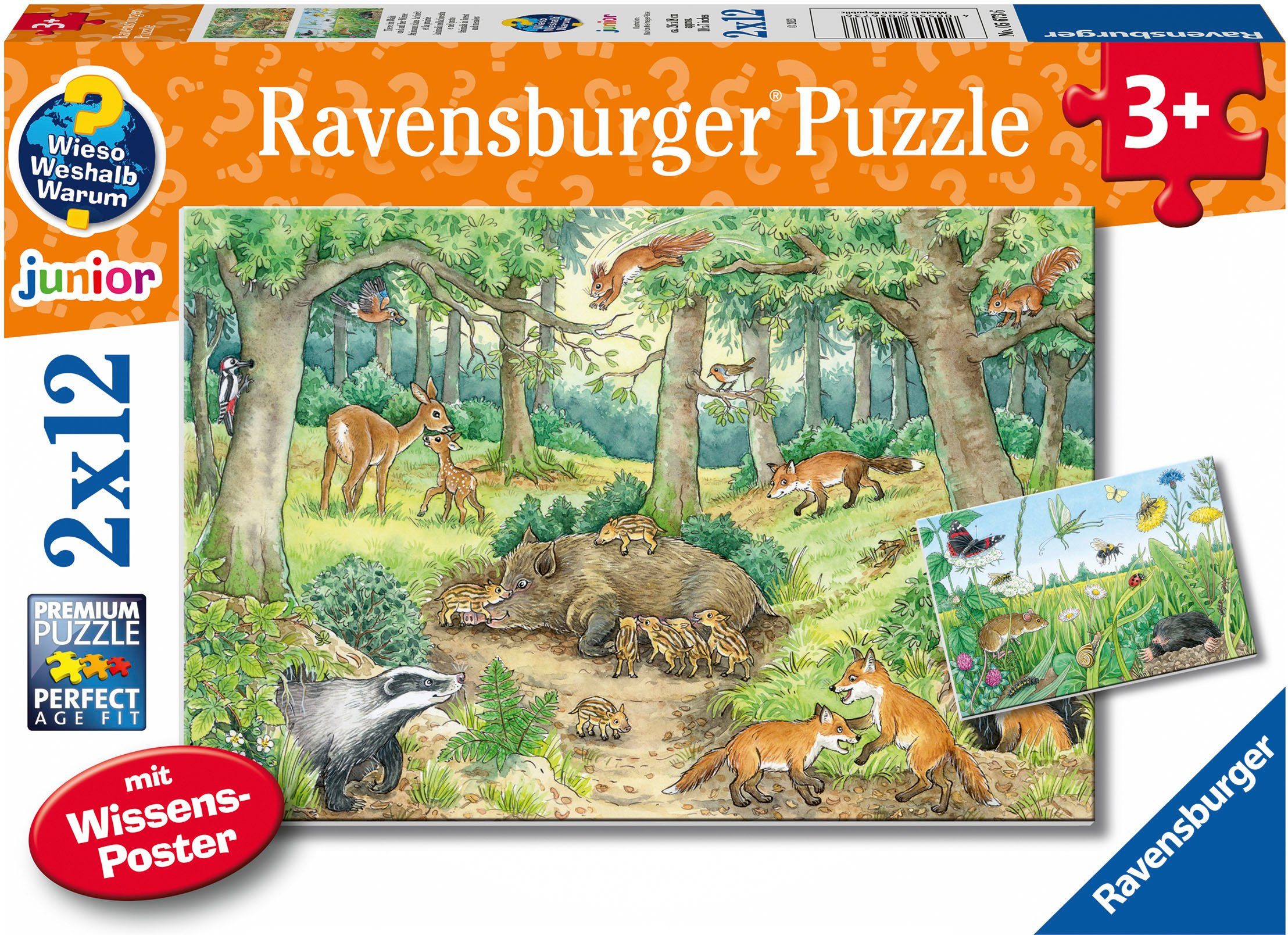 Ravensburger Puzzle Wieso? Weshalb? Warum? Junior, Tiere im Wald und auf der Wiese, 24 Puzzleteile, 2 x 12 Teile; Made in Europe; FSC® - schützt Wald - weltweit