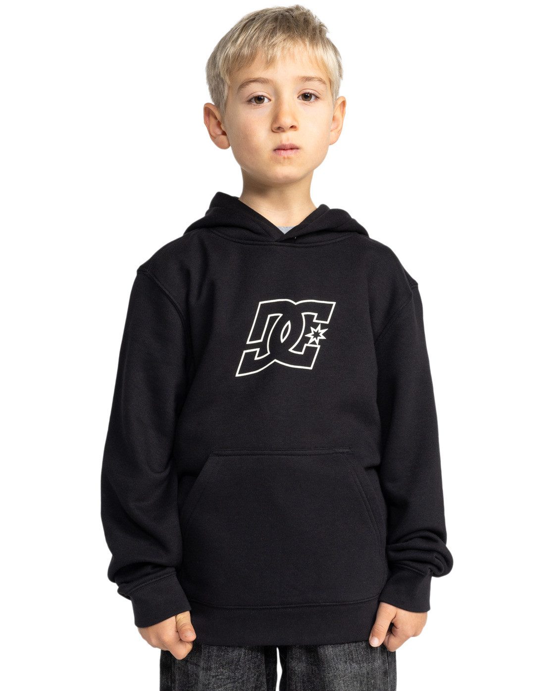 DC Shoes Hoodie Pallet Ph günstig online kaufen