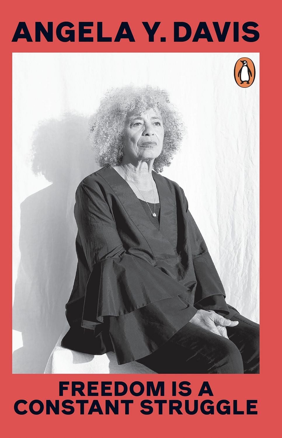 Freedom Is A Constant Struggle / Angela Y. Davis