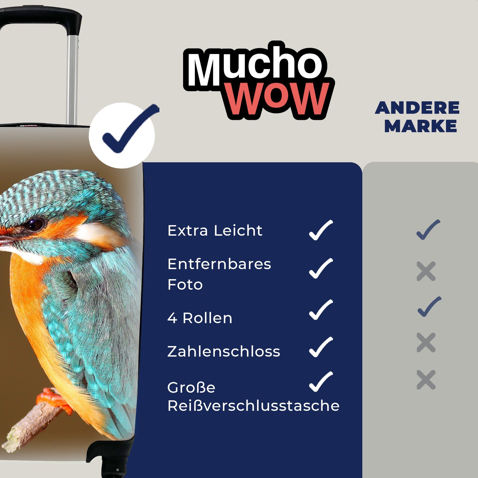 Ferien, Äste MuchoWow Handgepäckkoffer 4 - Trolley, Reisekoffer Handgepäck Reisetasche Eisvogel Bunt, - rollen, für Rollen, mit