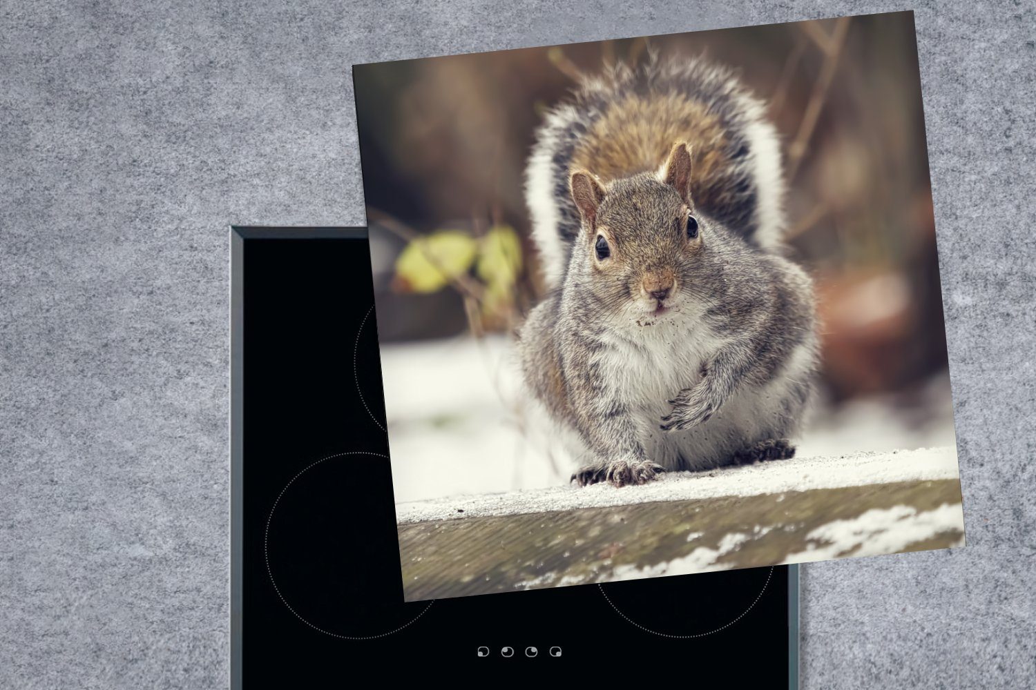 küche Herdblende-/Abdeckplatte - für Wildtier - 78x78 Winter, Eichhörnchen Vinyl, Arbeitsplatte Ceranfeldabdeckung, MuchoWow tlg), cm, (1