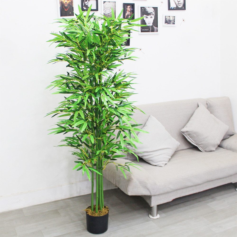 Detailansicht des Produkts 5