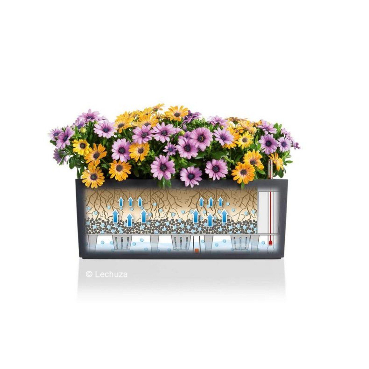 Lechuza® Balkonkasten Balconera Color 50 Balkonkasten pastellgrün (Komplettset)