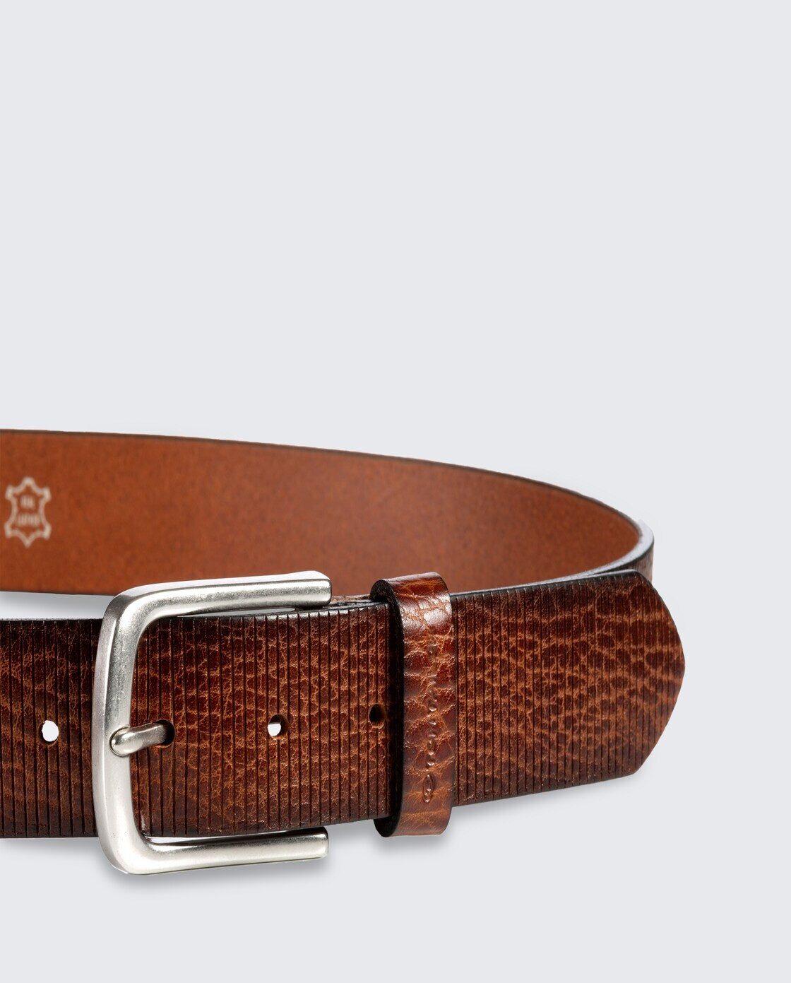 TOM TAILOR Ledergürtel Belts TTROY Ledergürtel mit abgerundeter Dornschließe