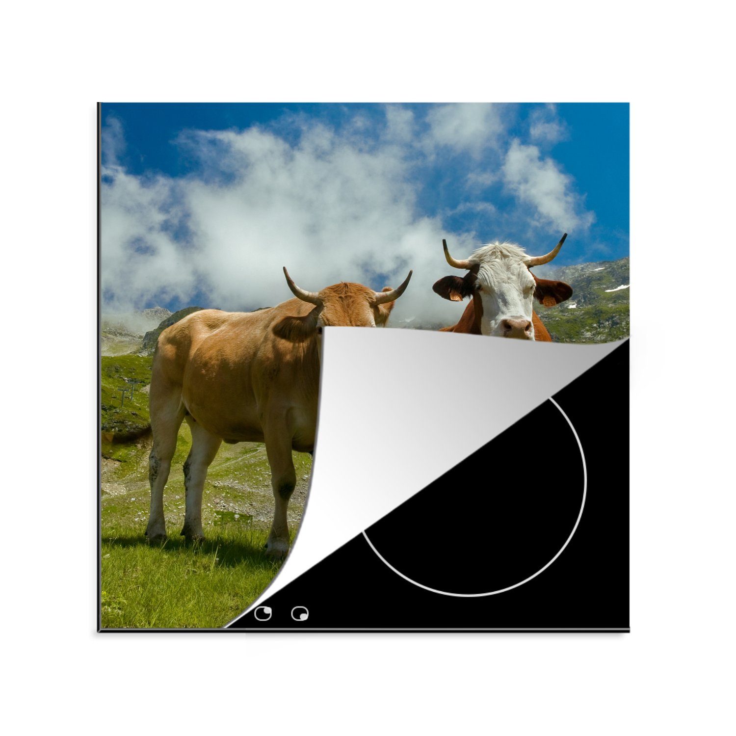 MuchoWow Herdblende-/Abdeckplatte Kühe - Sonne - Landschaft, Vinyl, (1 tlg), 78x78 cm, Ceranfeldabdeckung, Arbeitsplatte für küche
