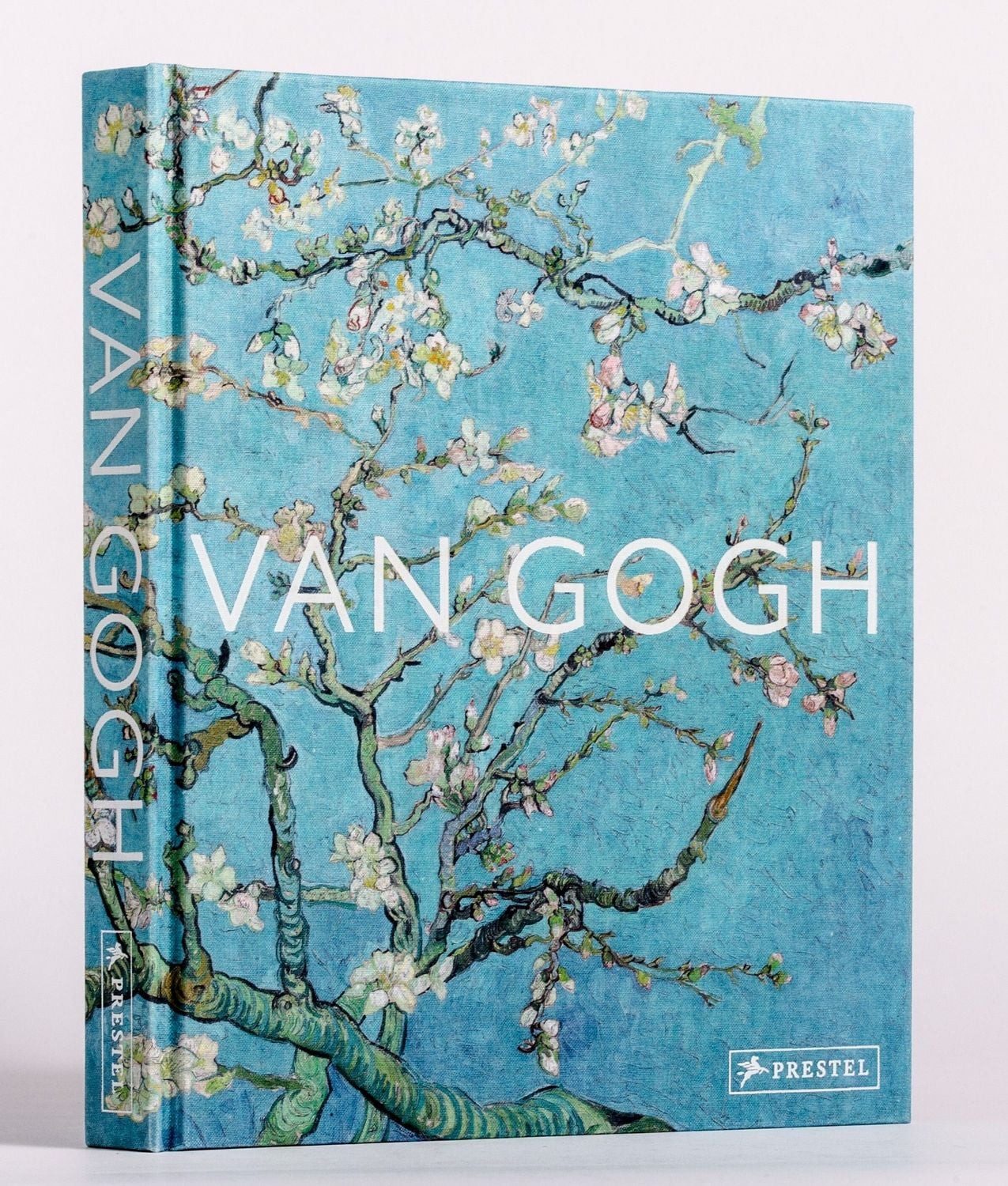 Van Gogh / Anne Sefrioui