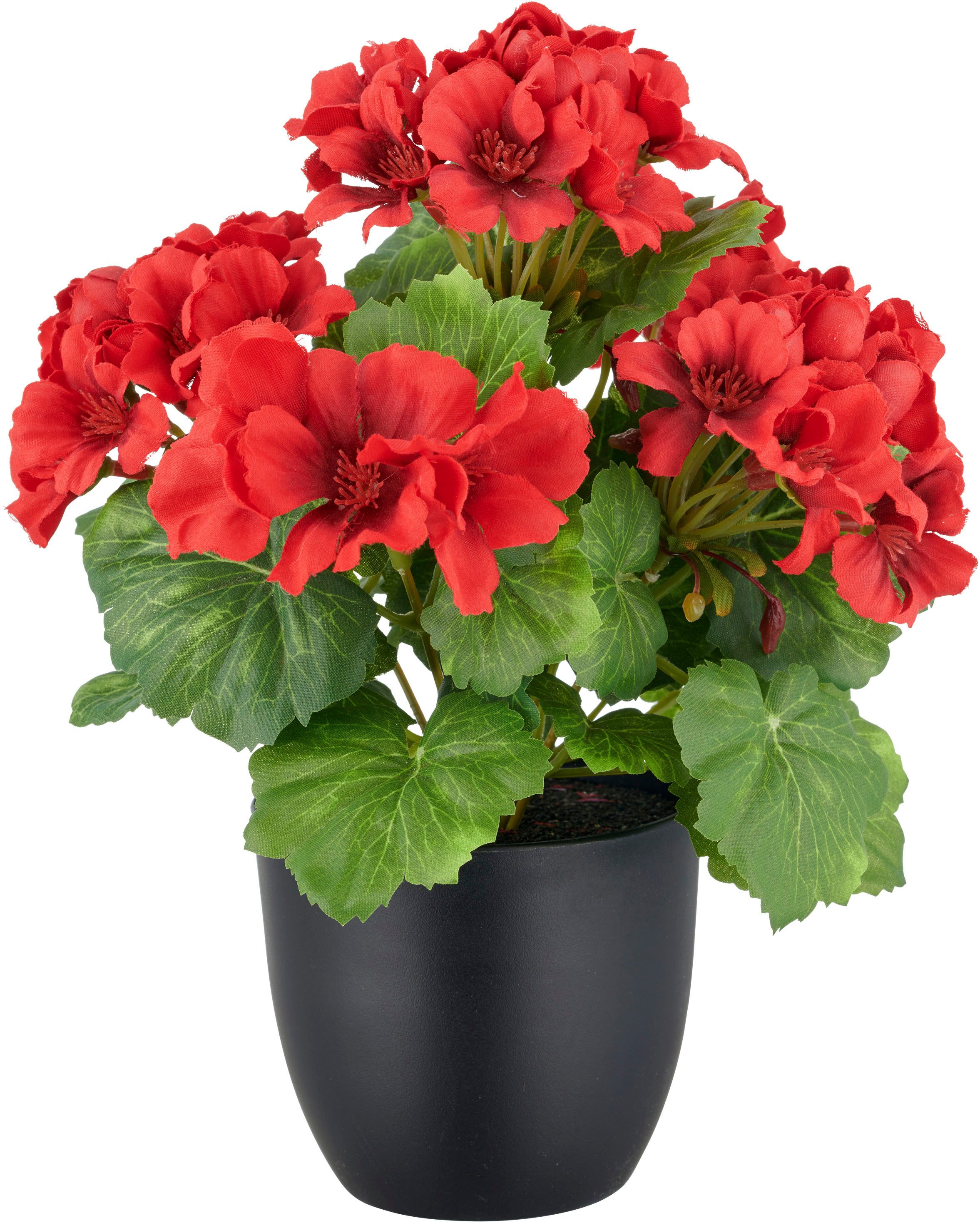 Kunstpflanze Geranie, Creativ green, Höhe 26 cm, in UV-beständiger Ausführu günstig online kaufen