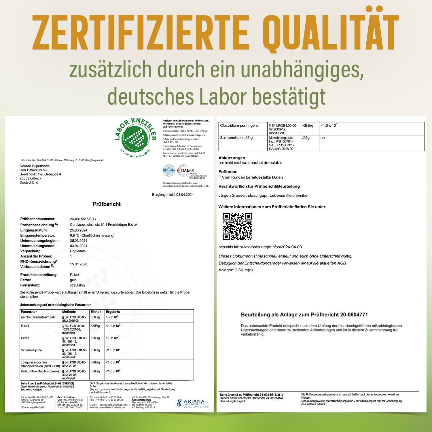 Dorado Superfoods Cordyceps sinensis Pulver - 100 g Pulver aus 10:1 Extrakt Pulver, 100 g