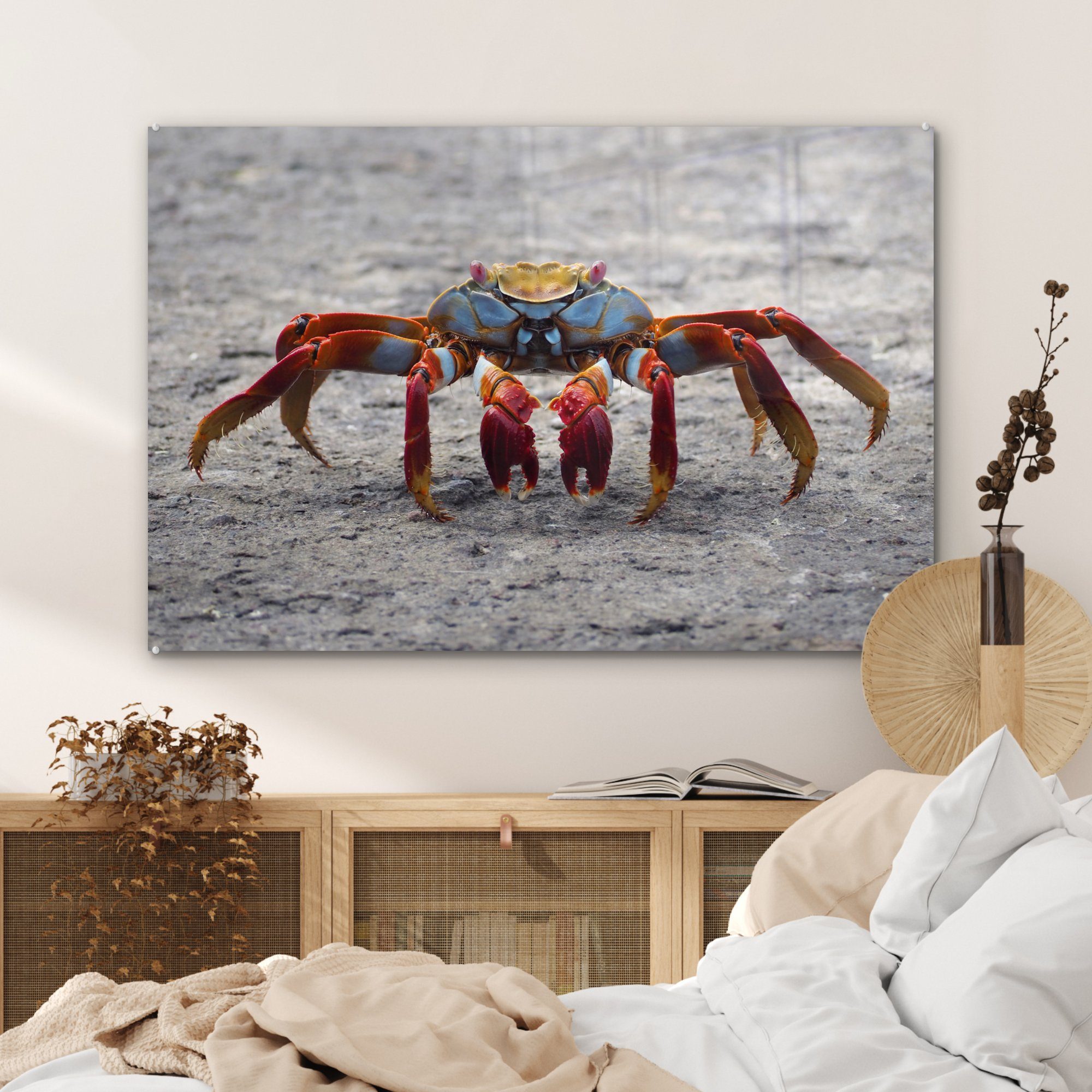 MuchoWow Acrylglasbild - St), & Schlafzimmer Acrylglasbilder Wohnzimmer - Krabbe, Tiere (1 Strand
