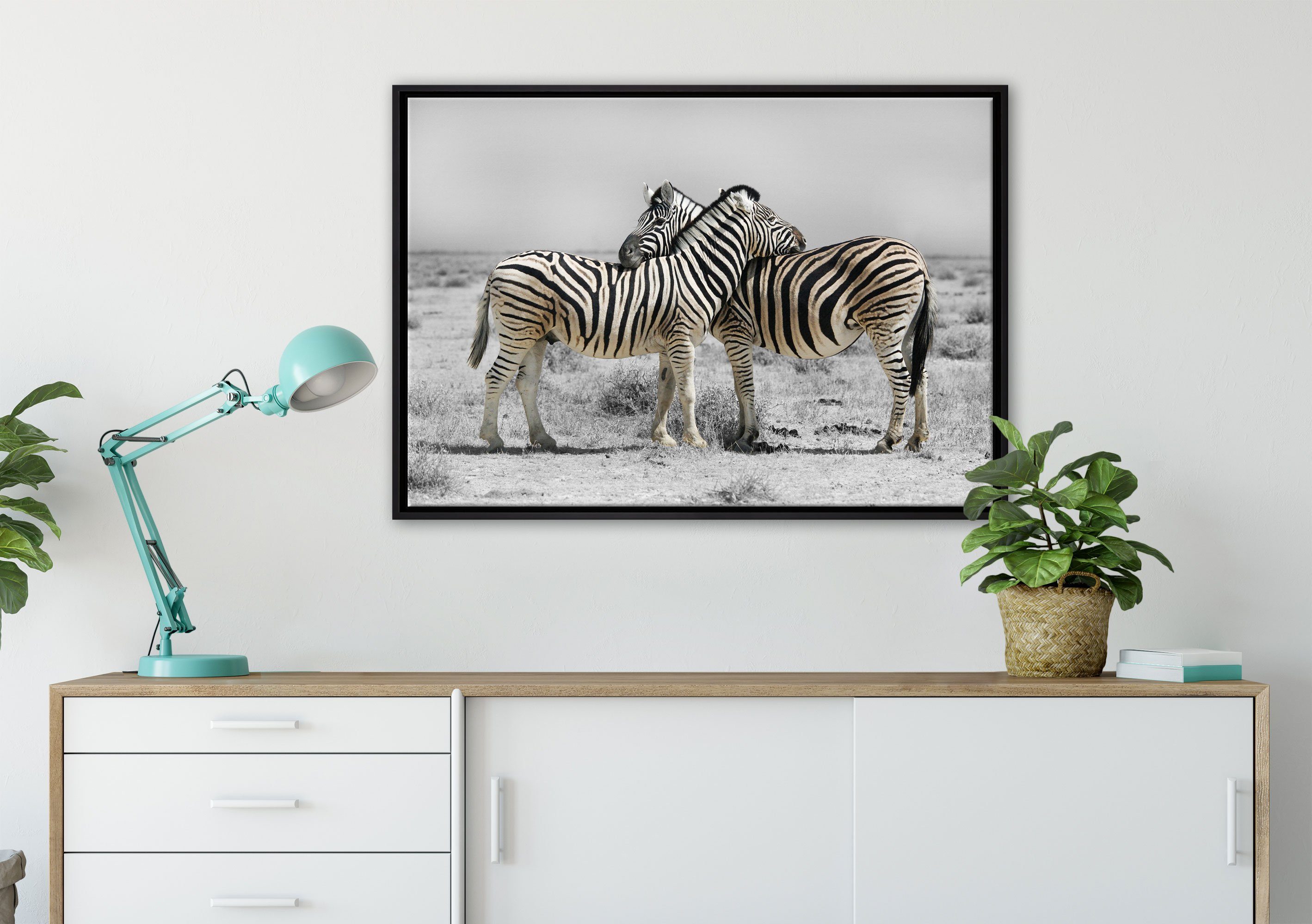 Pixxprint Leinwandbild Zebras Leinwandbild St), der in (1 Wanddekoration Schattenfugen-Bilderrahmen gefasst, in inkl. bespannt, einem fertig Zackenaufhänger Savanne