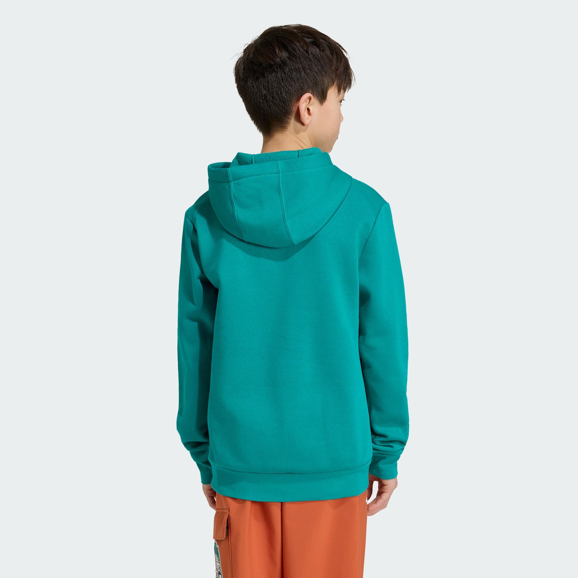 adidas TERREX Hoodie ADIDAS MINECRAFT TERREX HOODIE (1-tlg)