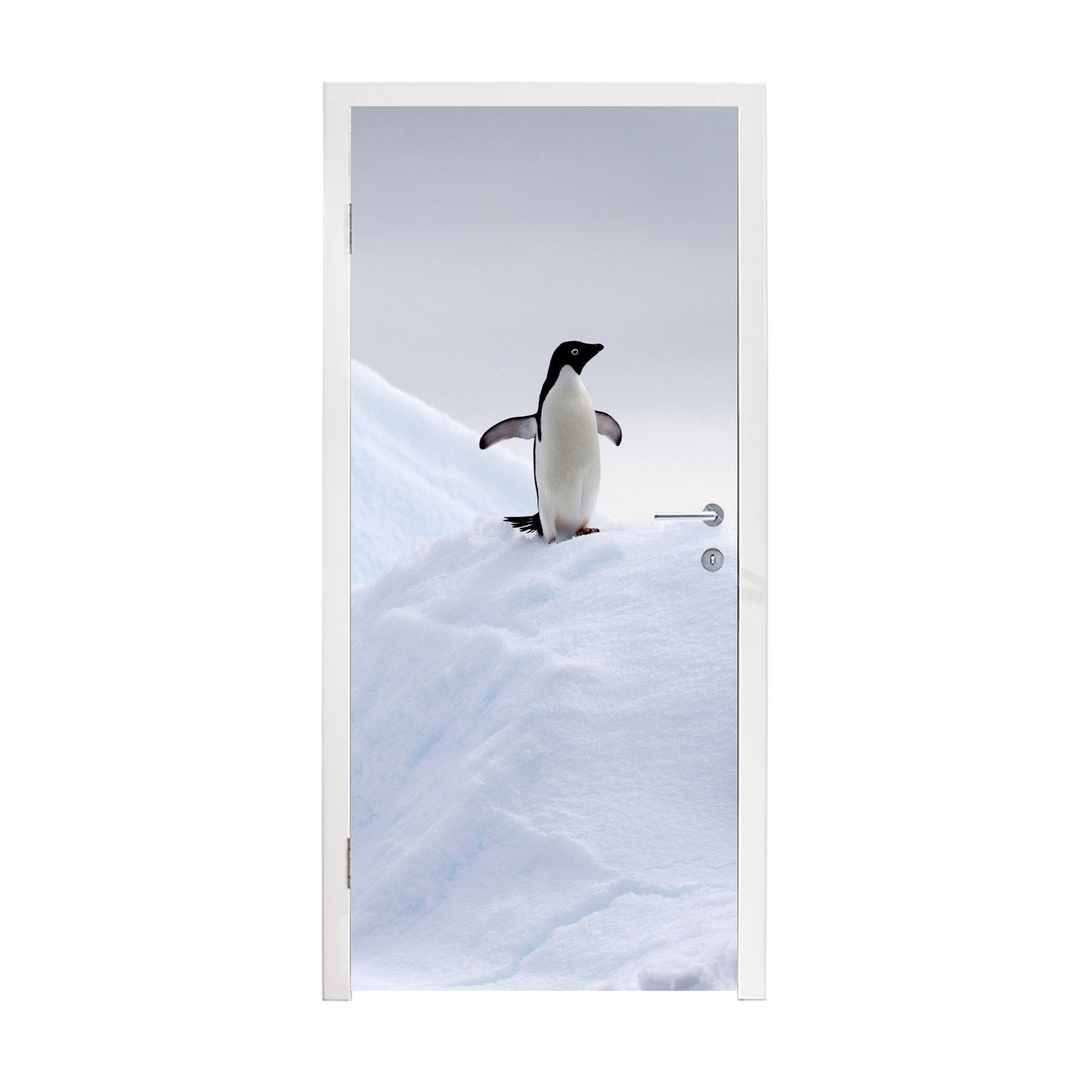 Eis Tür, Pinguin Fototapete Winter, für (1 75x205 - Türtapete St), Matt, Türaufkleber, bedruckt, MuchoWow - cm