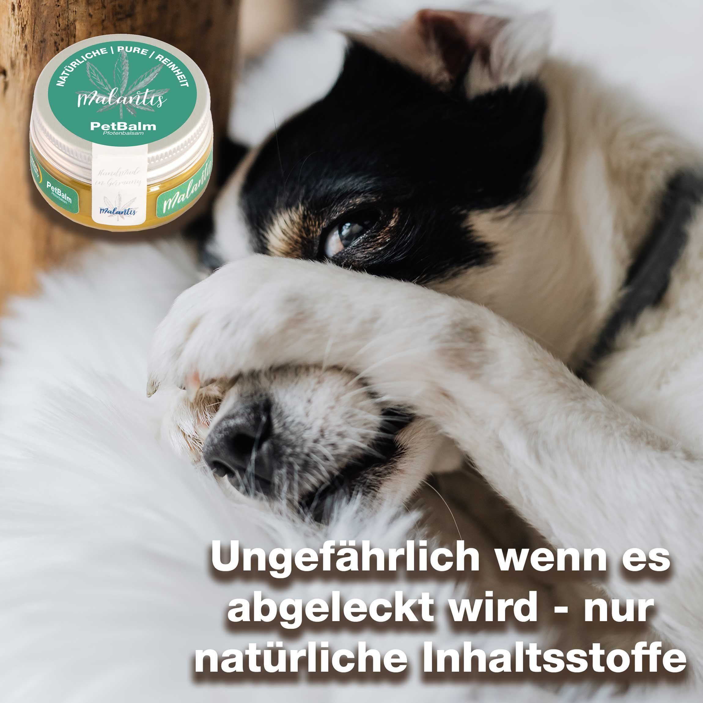 und Pfoten Pfotenbalsam PetBalm Fellpflege, CBD von Butter Körperbalsam Capuacu mit Pflege Haustiere Huf Kälte Nässe Kokosöl, bei Malantis - Pferden und für Mandelöl, Pflege