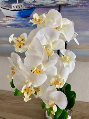 Kunstblume Orchidee Phalenopsis, weiß, real touch, ca. 53 cm inkl. silberner Vase, Dahlia Studios
