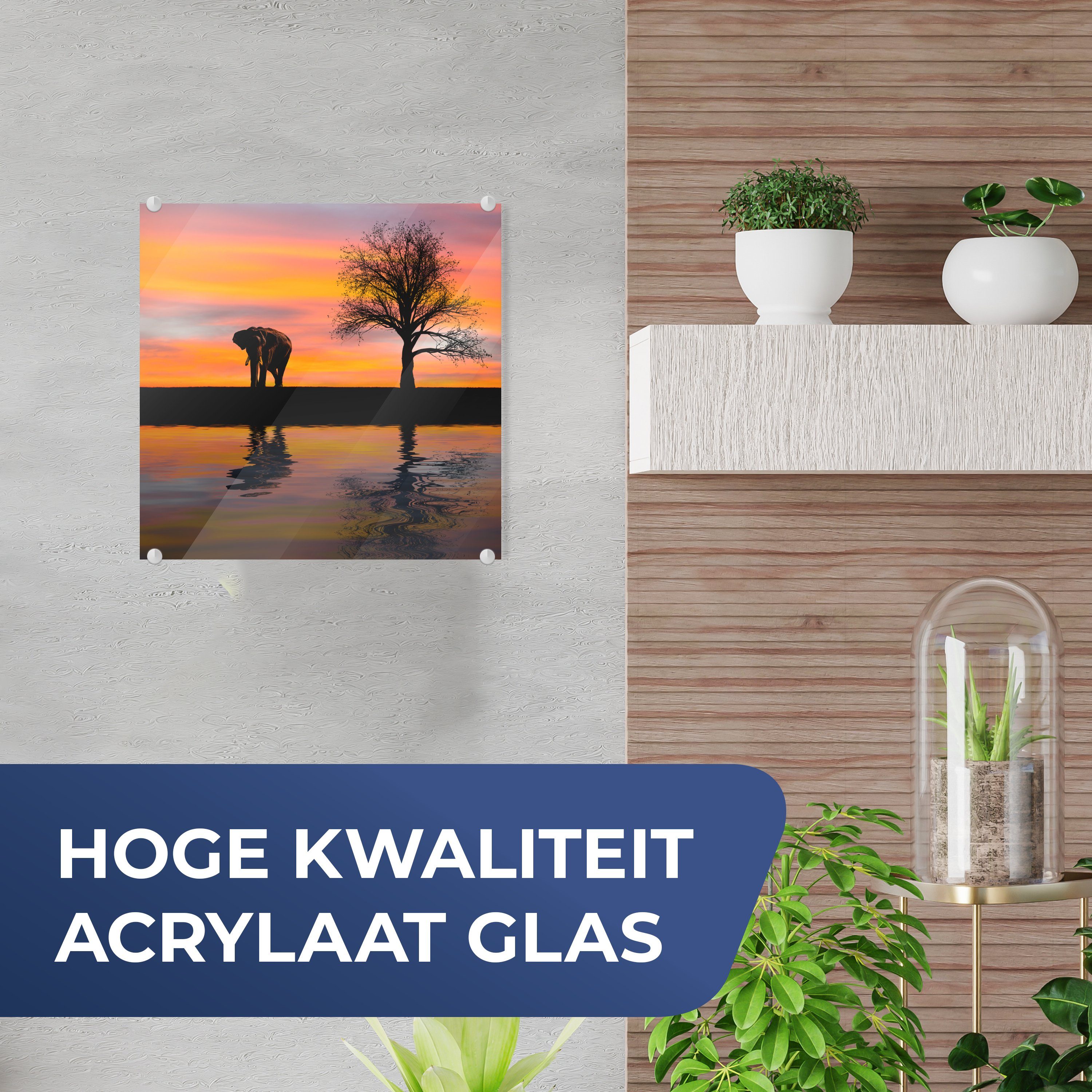 Bilder Sonnenuntergang, Wandbild Wanddekoration St), Glas Acrylglasbild - Glasbilder MuchoWow - auf Foto auf (1 Glas - und Elefant