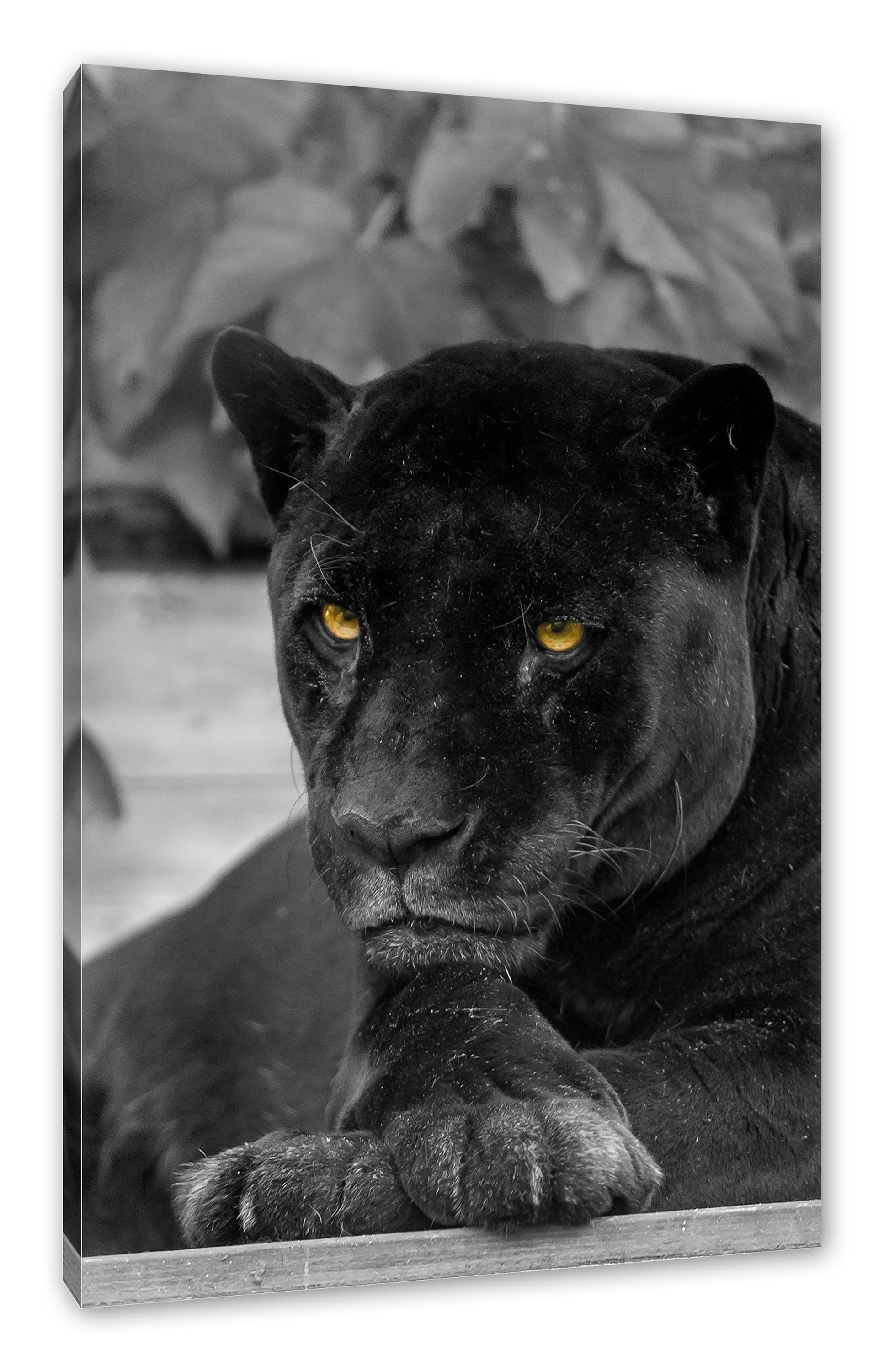 schwarzer inkl. Pixxprint Panther, St), Zackenaufhänger fertig bespannt, Leinwandbild schwarzer Leinwandbild Panther (1