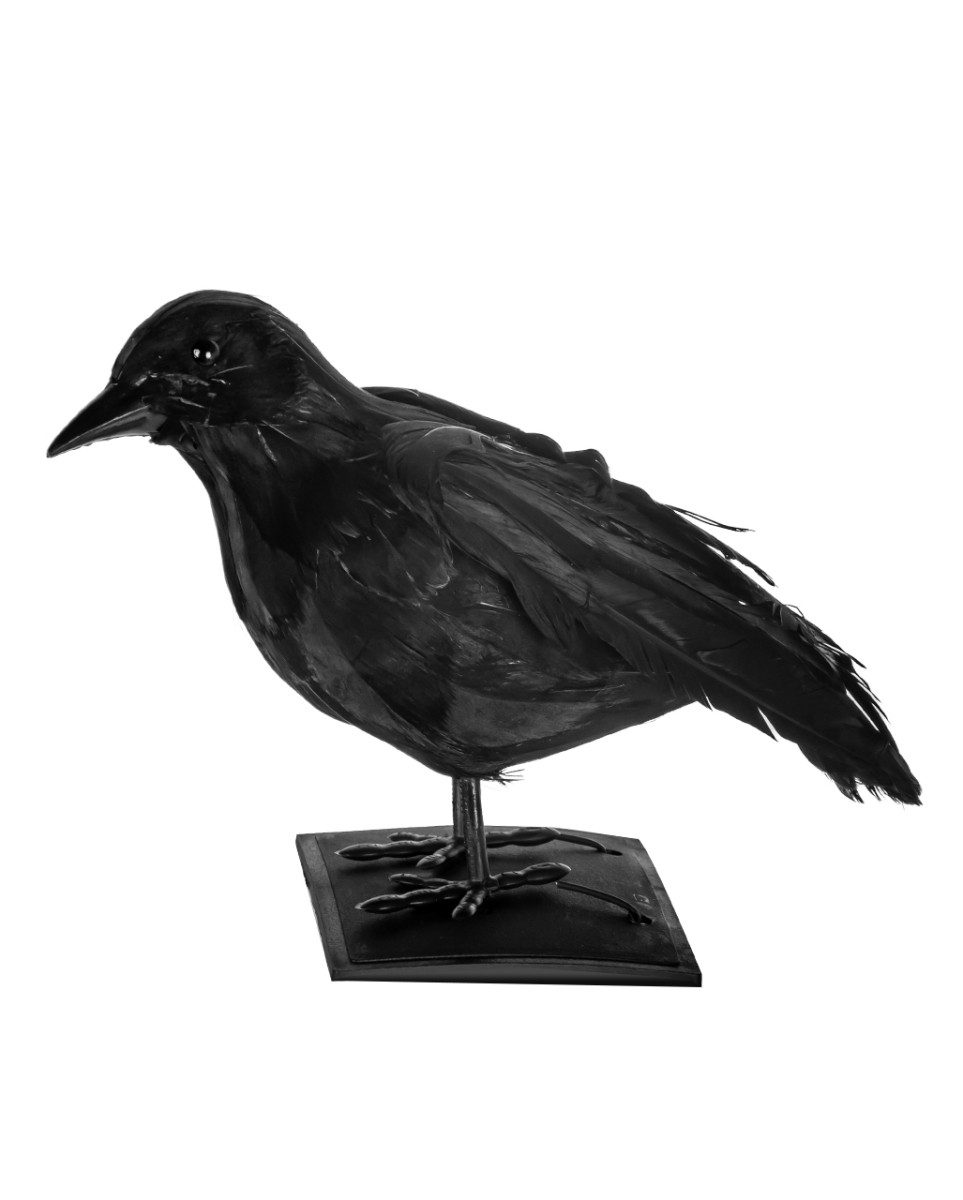 Horror-Shop Dekoobjekt Schwarzer Rabe mit Federn Medium Size 23cm