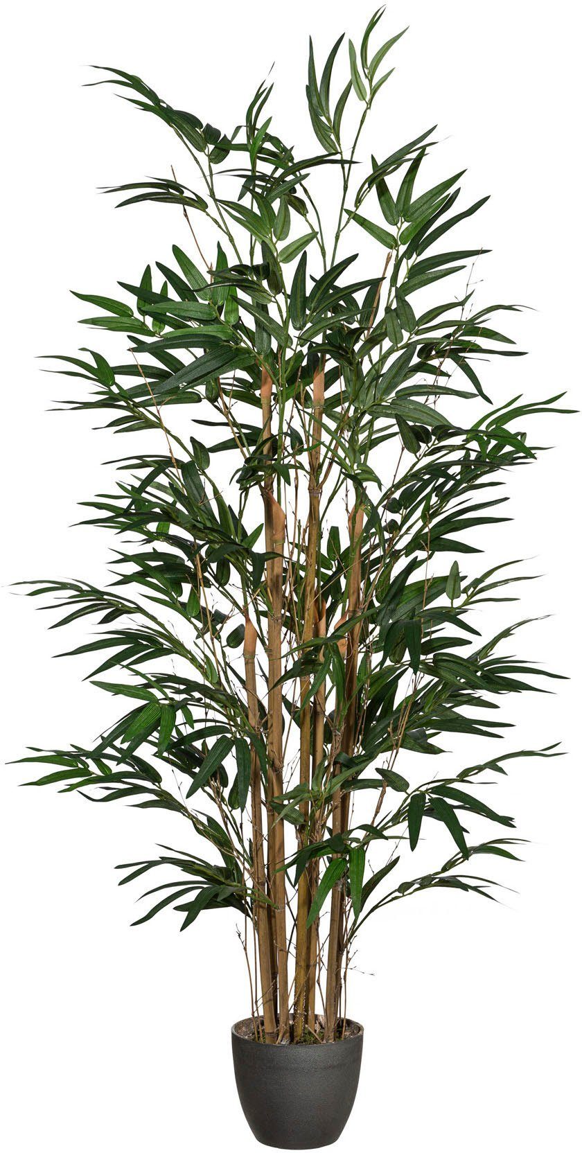 Kunstpflanze Bambus Creativ cm 120 Höhe Bambus, green