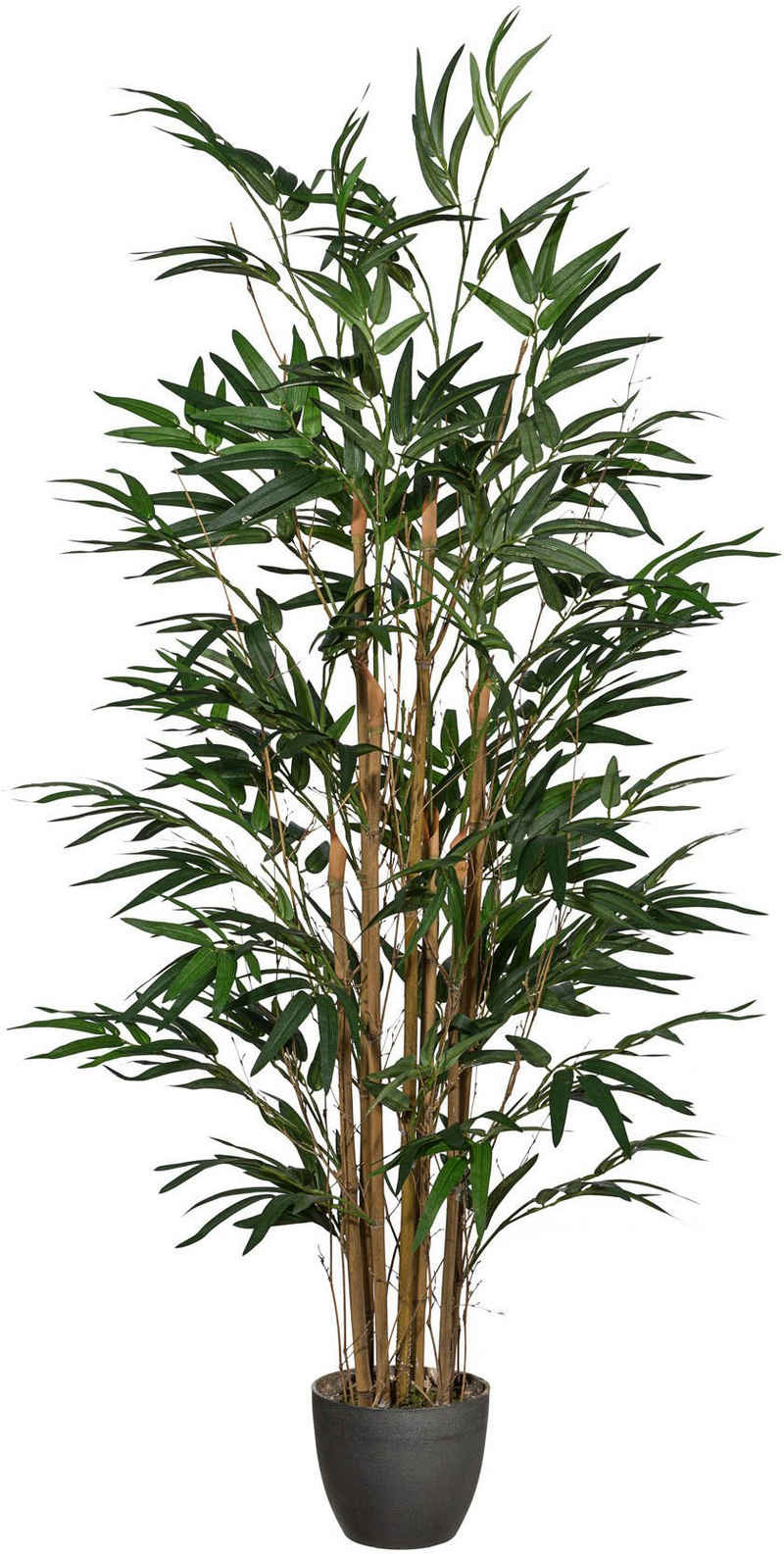 Kunstpflanze Bambus Bambus, Creativ green, Höhe 120 cm