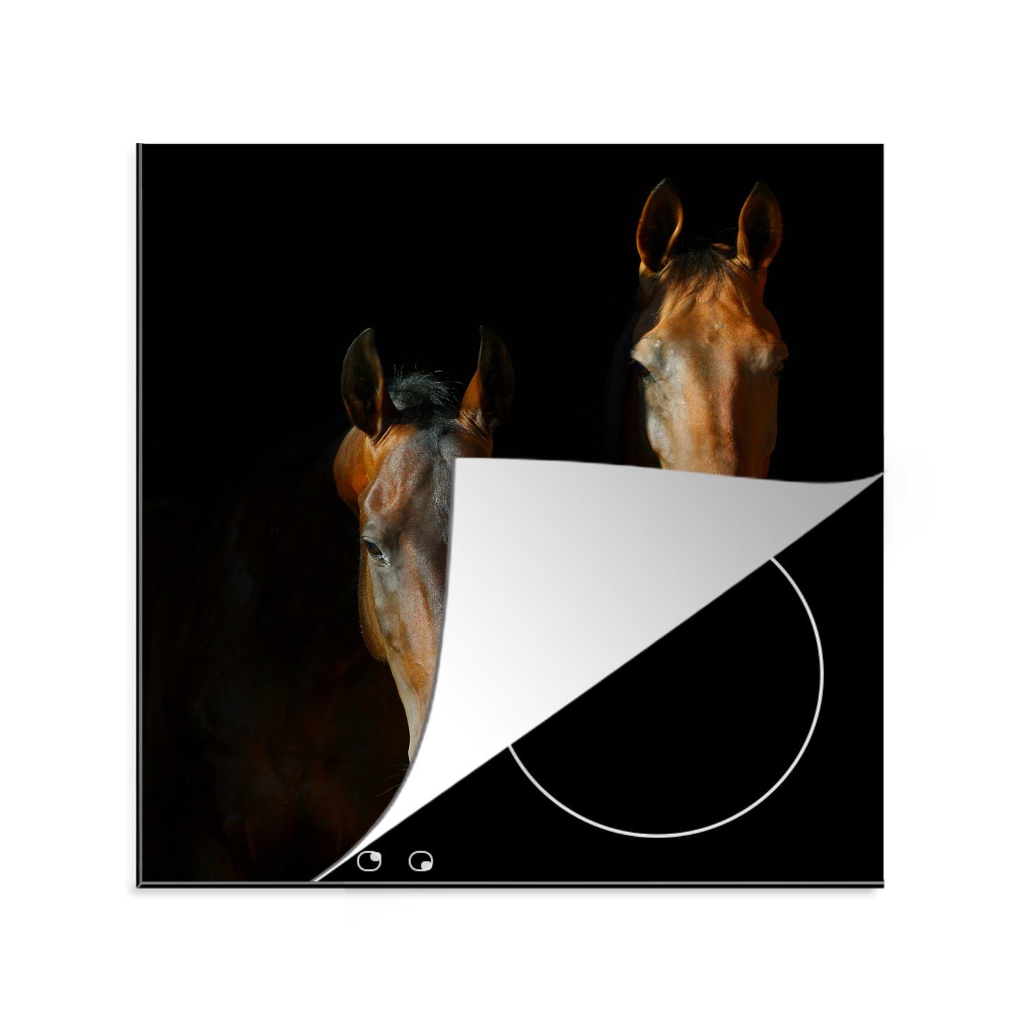 MuchoWow Herdblende-/Abdeckplatte Pferde - Tiere - Braun, Vinyl, (1 tlg), 78x78 cm, Ceranfeldabdeckung, Arbeitsplatte für küche