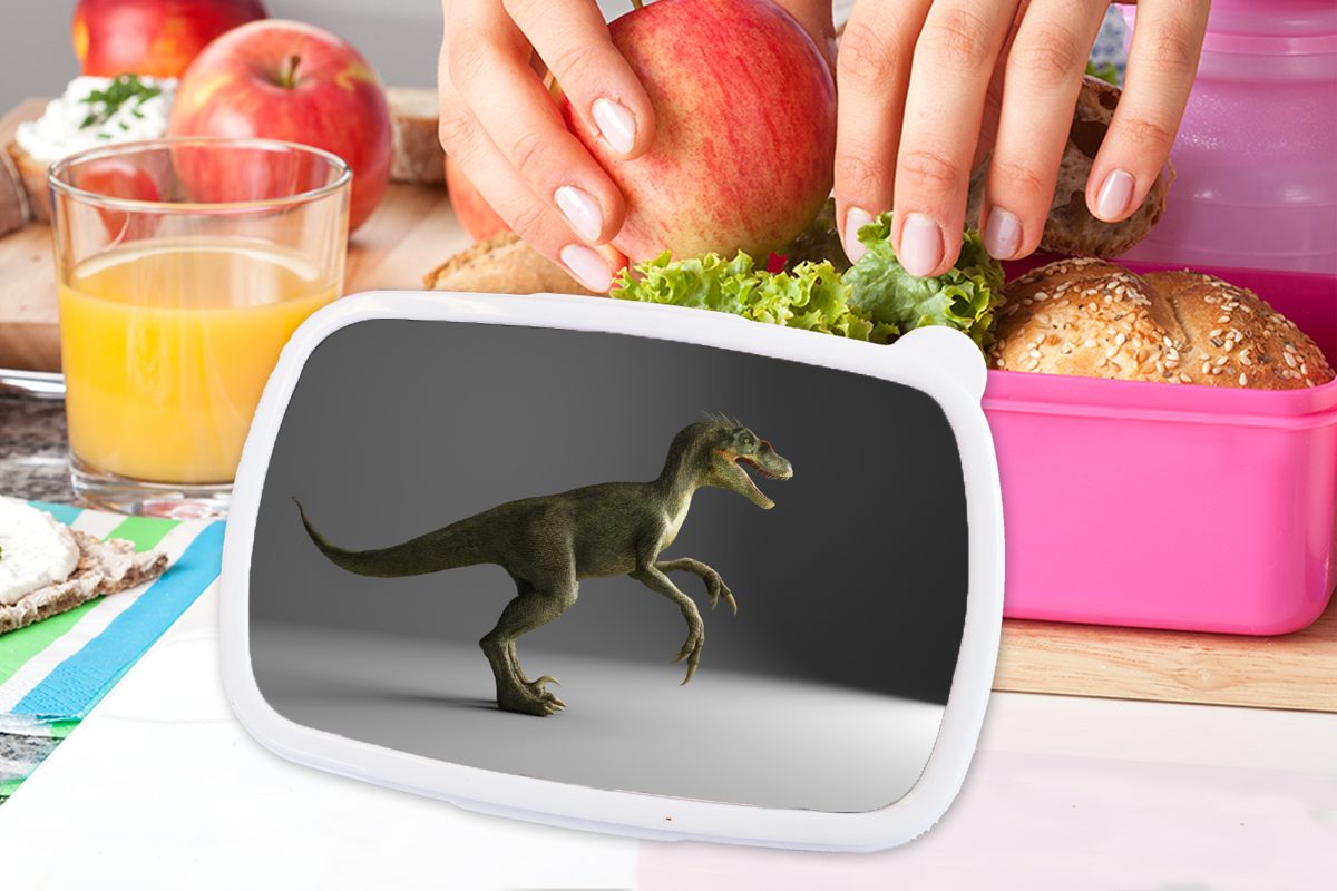 Kunststoff, Kunststoff Dinosaurier Kinder, Velociraptor Snackbox, rosa Brotbox Grau, - Mädchen, Lunchbox für (2-tlg), MuchoWow Erwachsene, - Brotdose