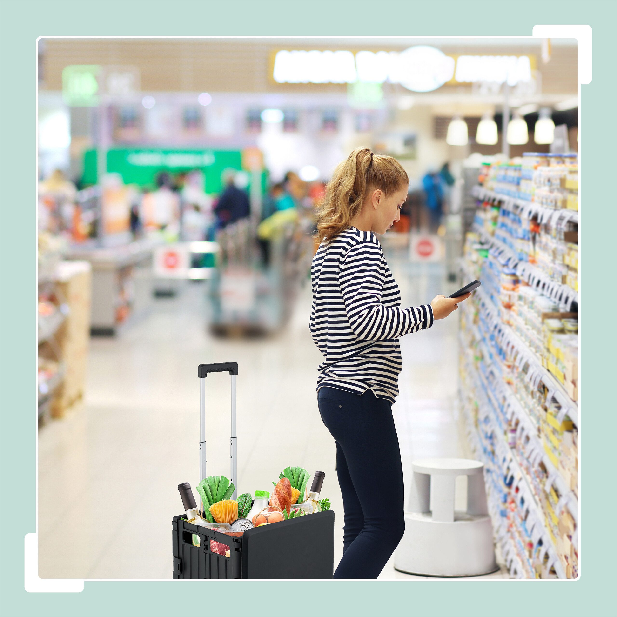 relaxdays Einkaufstrolley mit Deckel, schwarz günstig online kaufen