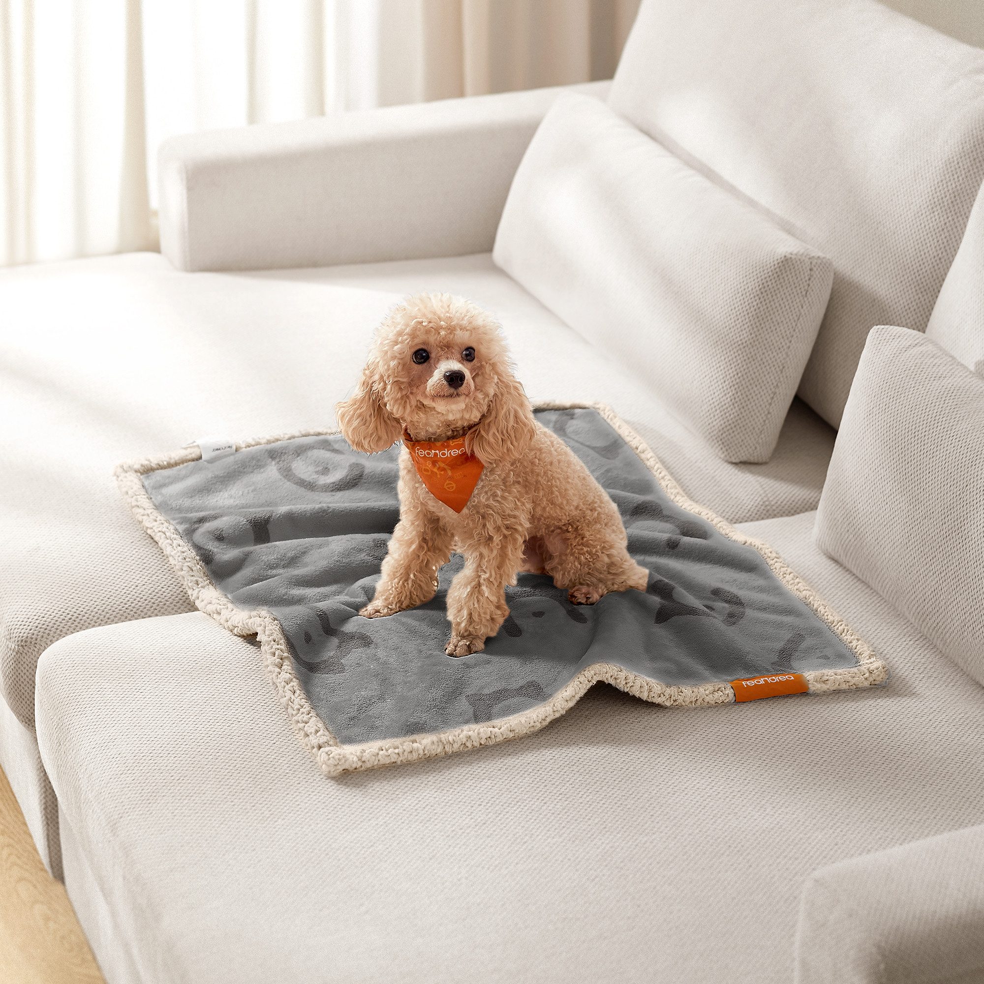 FEANDREA Tierdecke Wasserdichte Hundedecke, Haustier Decke, beidseitiger Sofabezug-Schutz, Sherpa TPU-Folie Flanell, für Minihunde, Katzen, 73 x 63 cm, S, maschinenwaschbar, grau