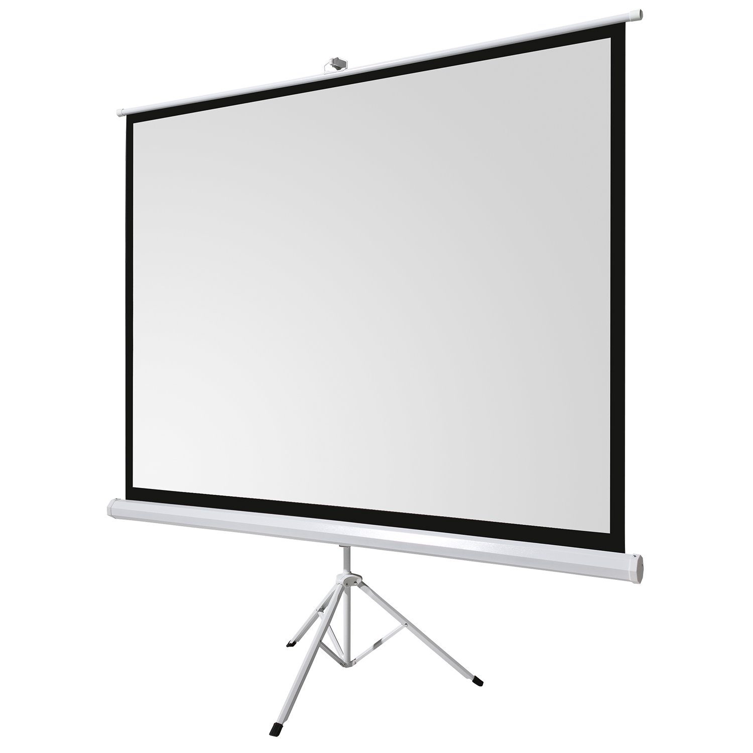 Celexon basic line Stativleinwand (schwarze Rückseite)