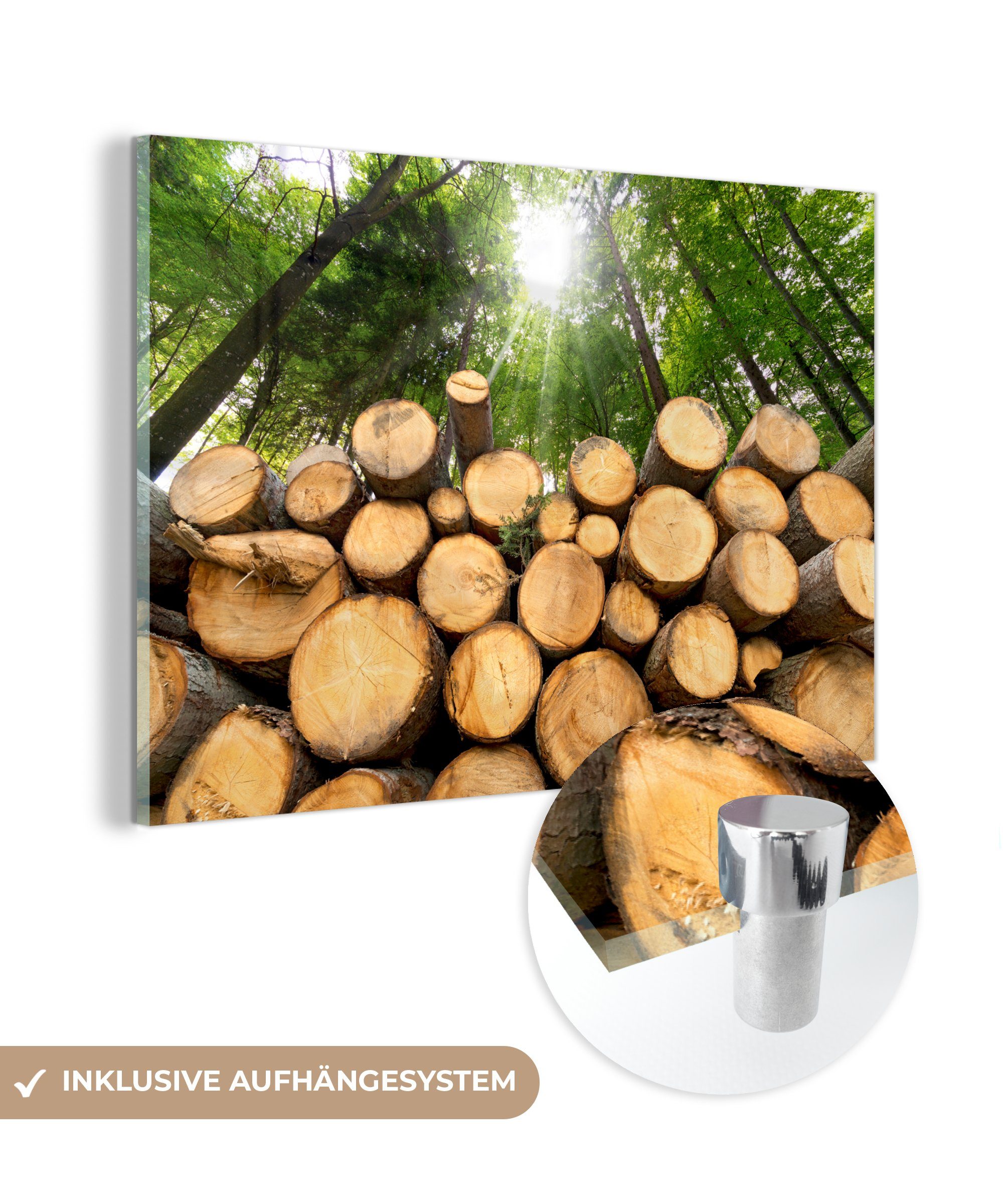 & (1 - Wohnzimmer Acrylglasbilder Holz - Bäume Acrylglasbild MuchoWow Schlafzimmer Wald, St),