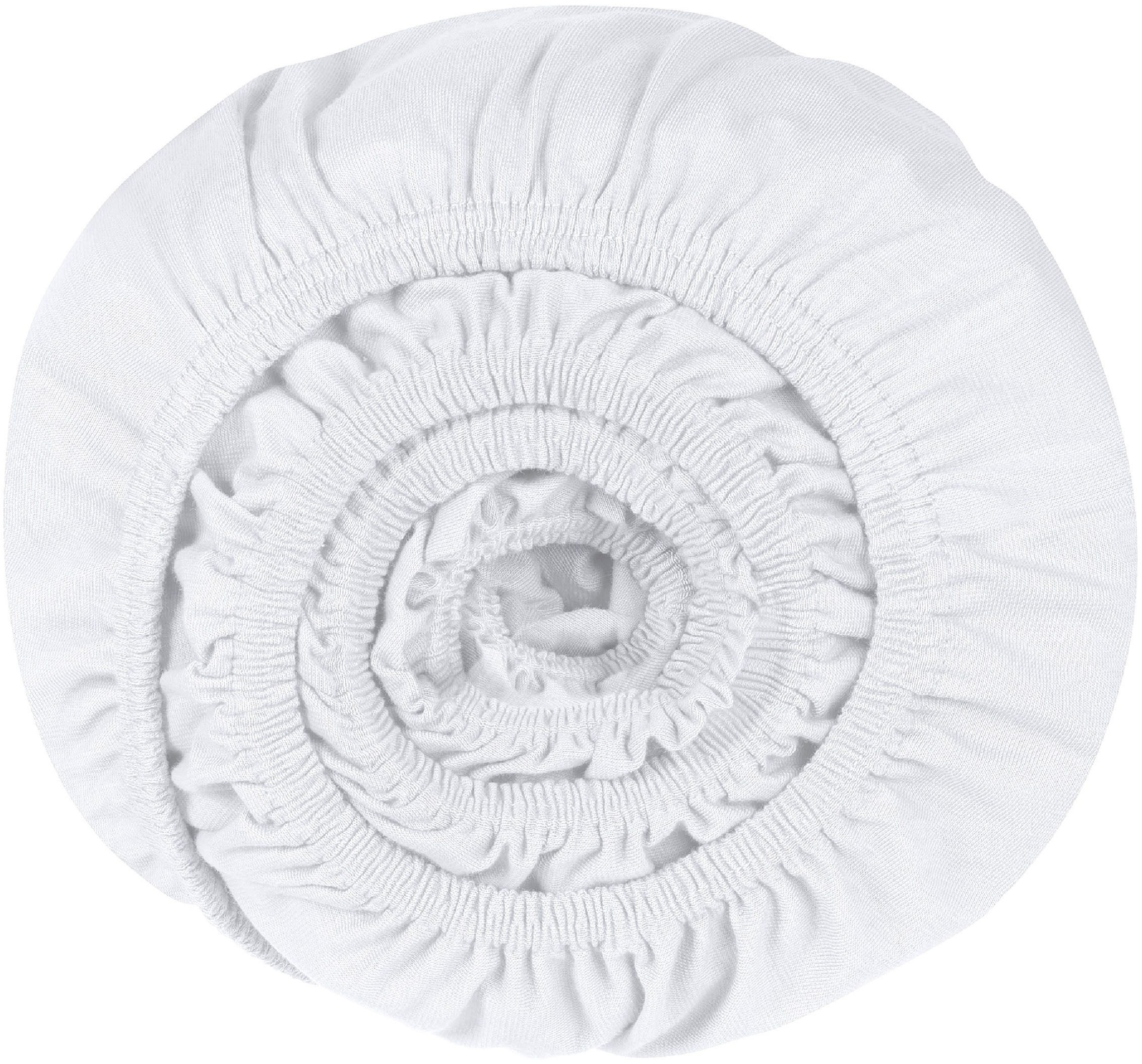 Schiesser Spannbettlaken Jessi aus 100% Baumwolle, günstig online kaufen