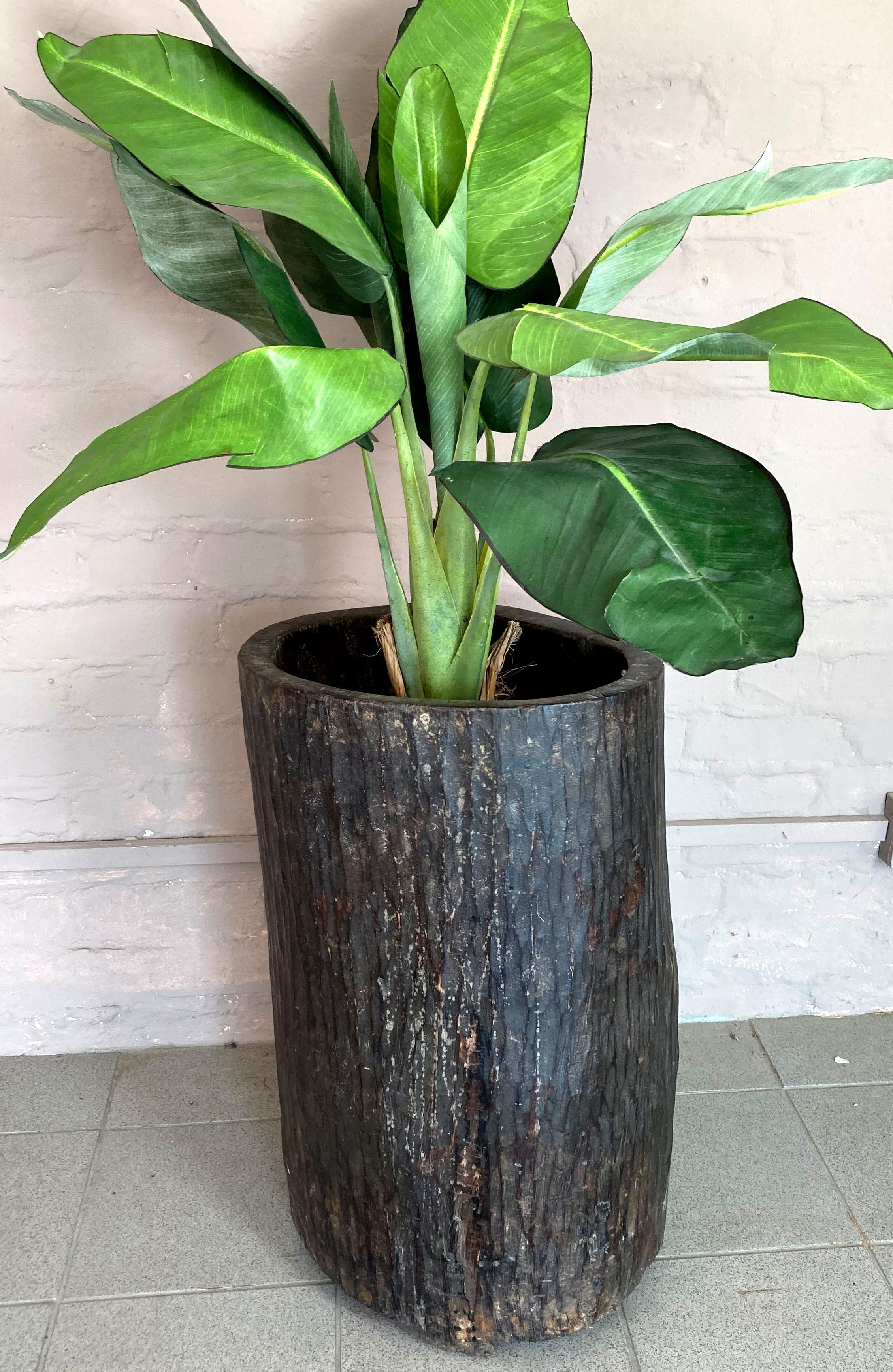 Vase, Übertopf, Guru-Shop Palmholz Pflanzgefäß Dekovase aus