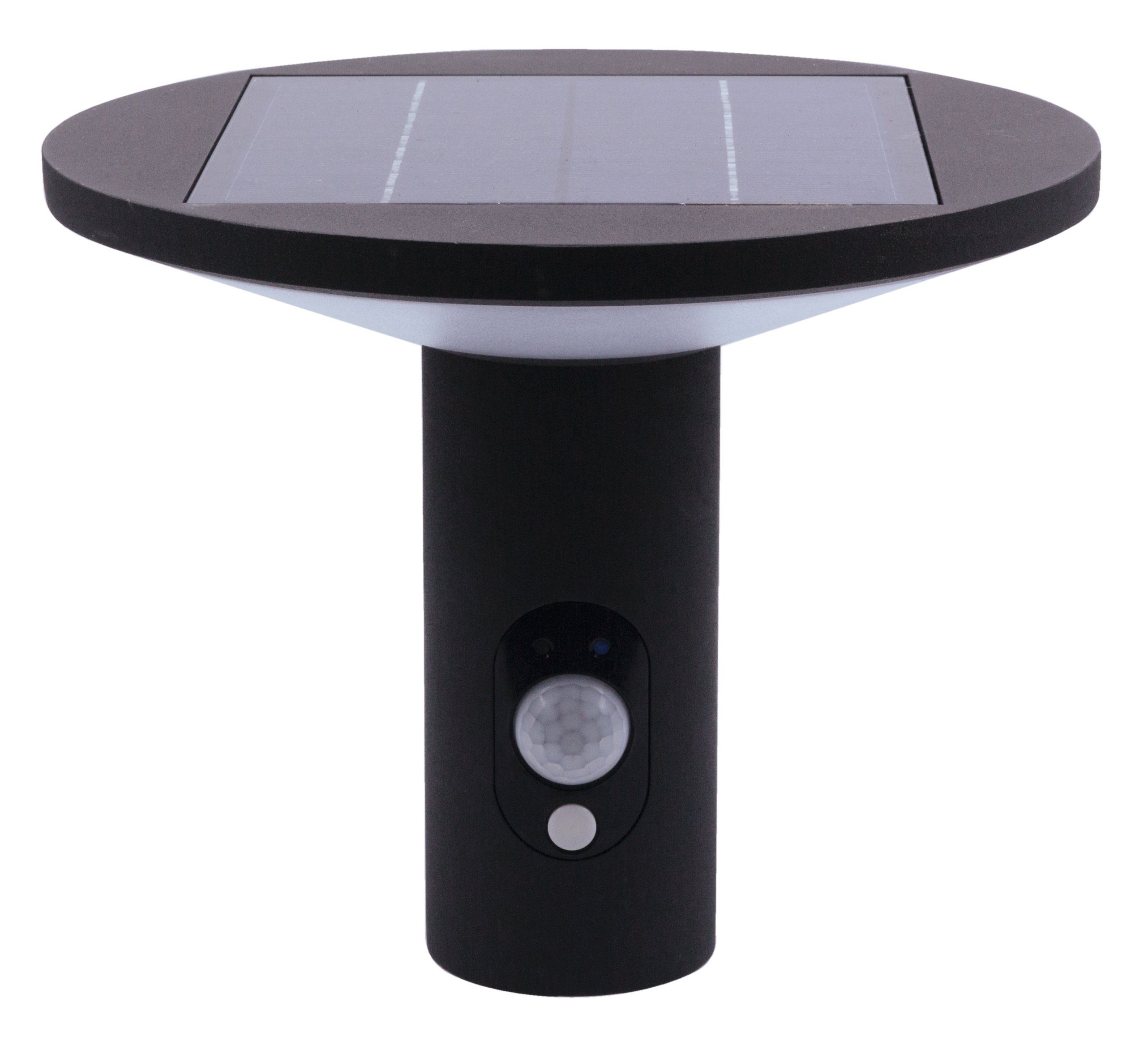 HEITRONIC LED Solarleuchte »Karina«, Solarlampe, Wandlampe, Außenlampe, kein Stromanschluss erforderlich, mit Bewegungsmelder-HomeTrends