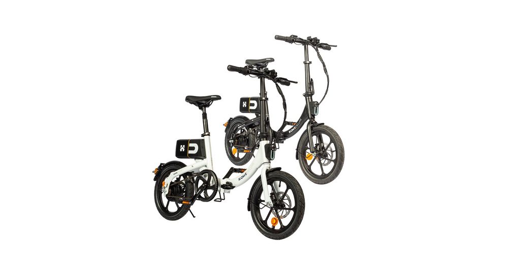 HOME DELUXE E-Bike »BUMBEE«, Automatikschaltung, 250,00 W, inkl ...